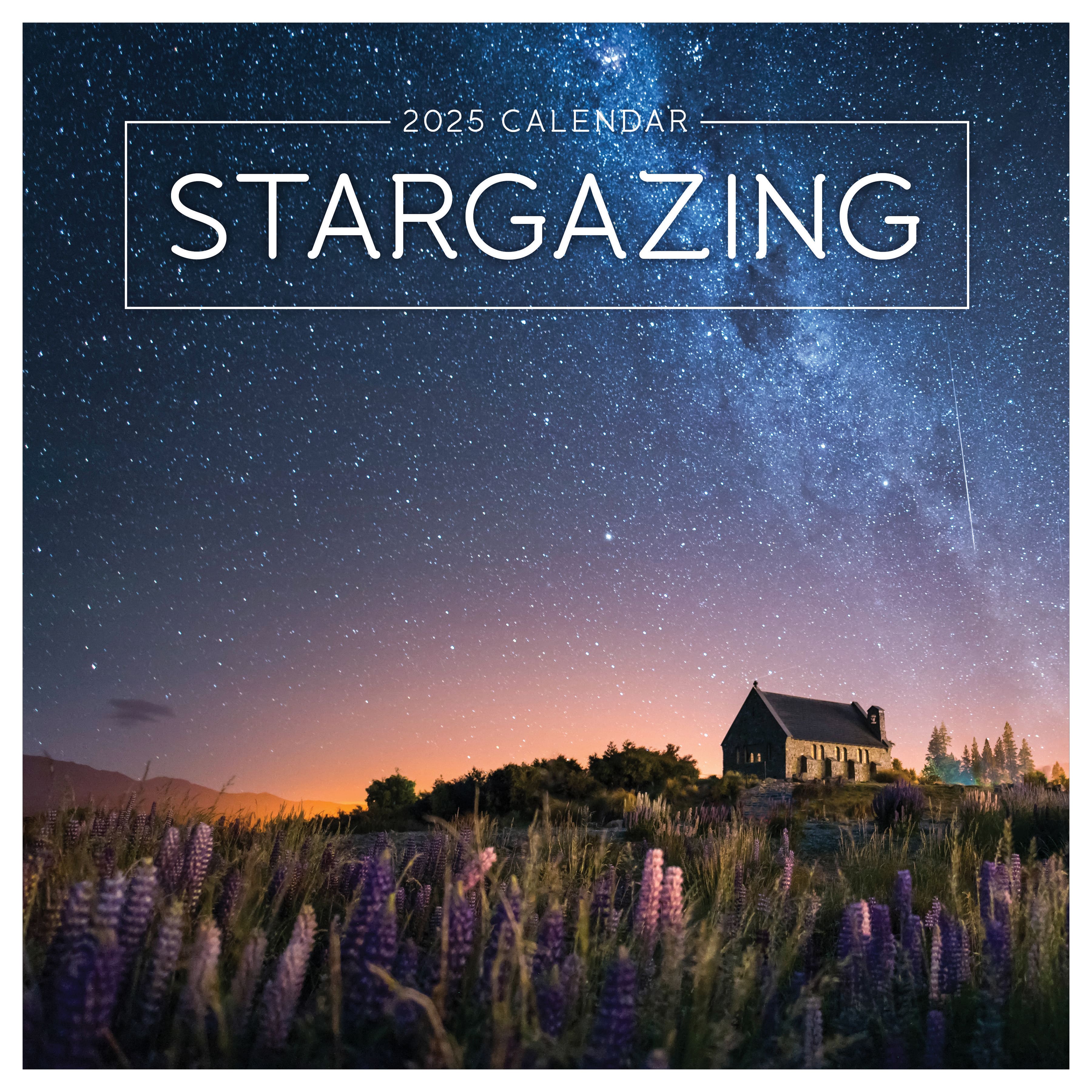 TF Publishing 2025 Stargazing Wall Calendar Michaels