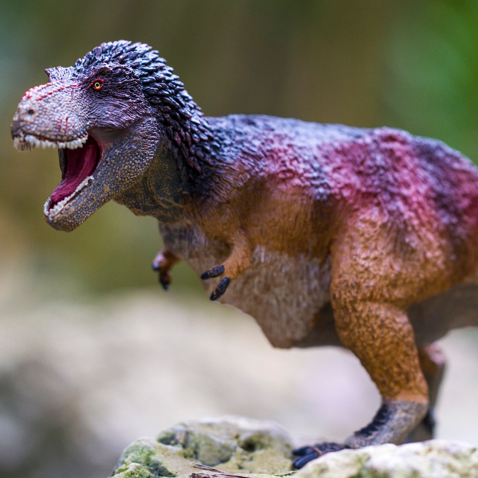 Safari Ltd. Feathered Tyrannosaurus Rex Dinosaur Figurine - Detailed 12  Plastic T-Rex Model Figure - Fun Dino Play Toy for Boys, Girls & Kids Ages  3+