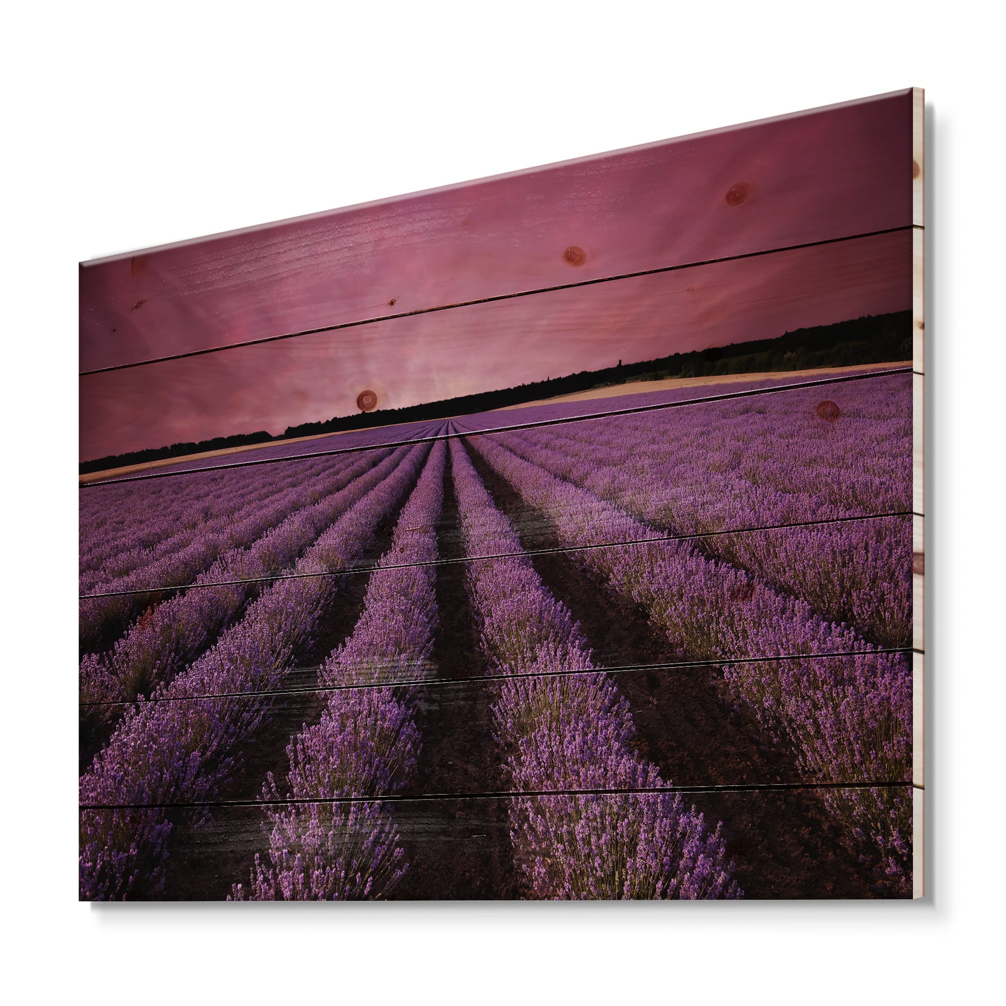 Designart - Sunrise &#x26; Dramatic Clouds Over Lavender Field XI - Farmhouse Print on Natural Pine Wood