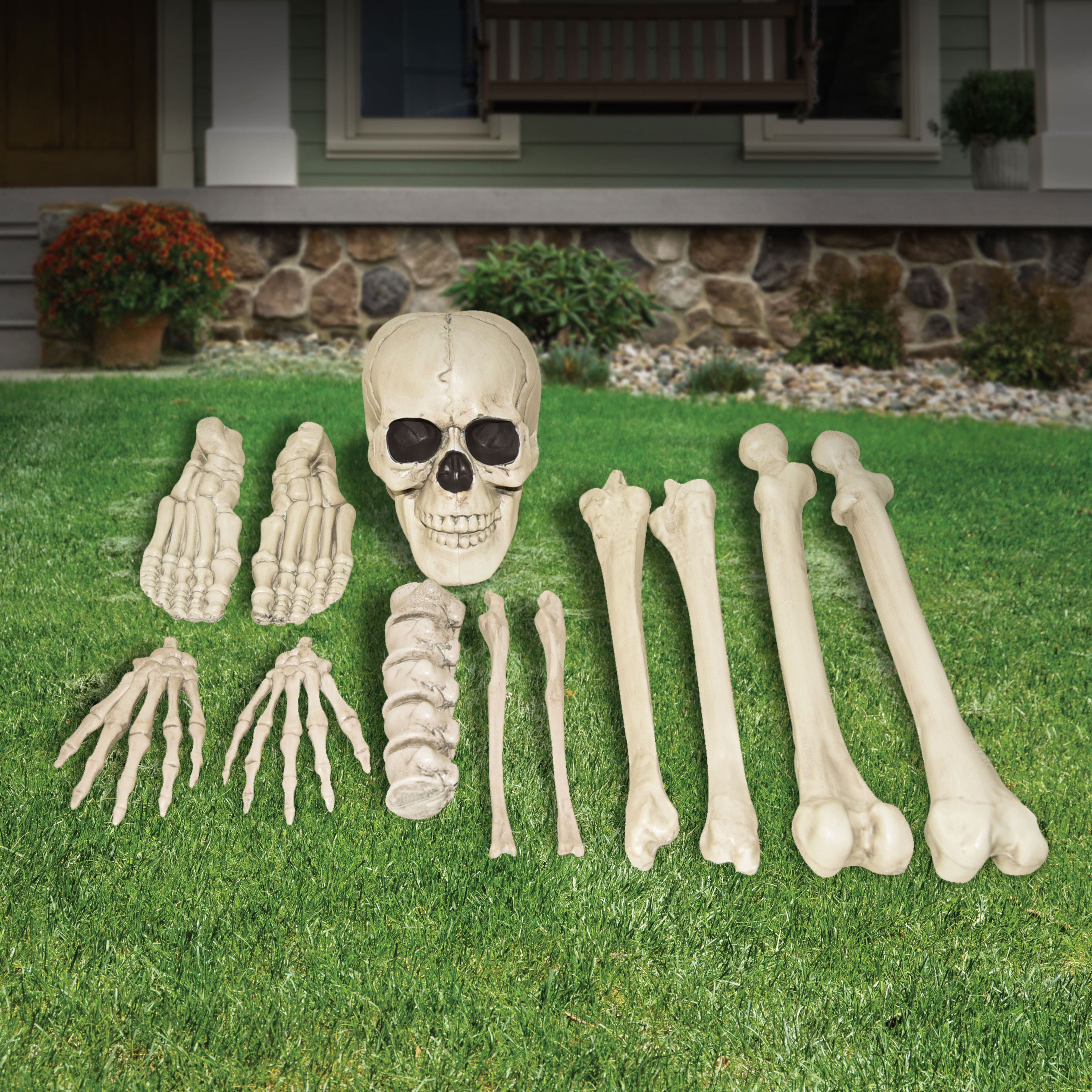 12-Piece Assorted Bones by Ashland&#xAE;