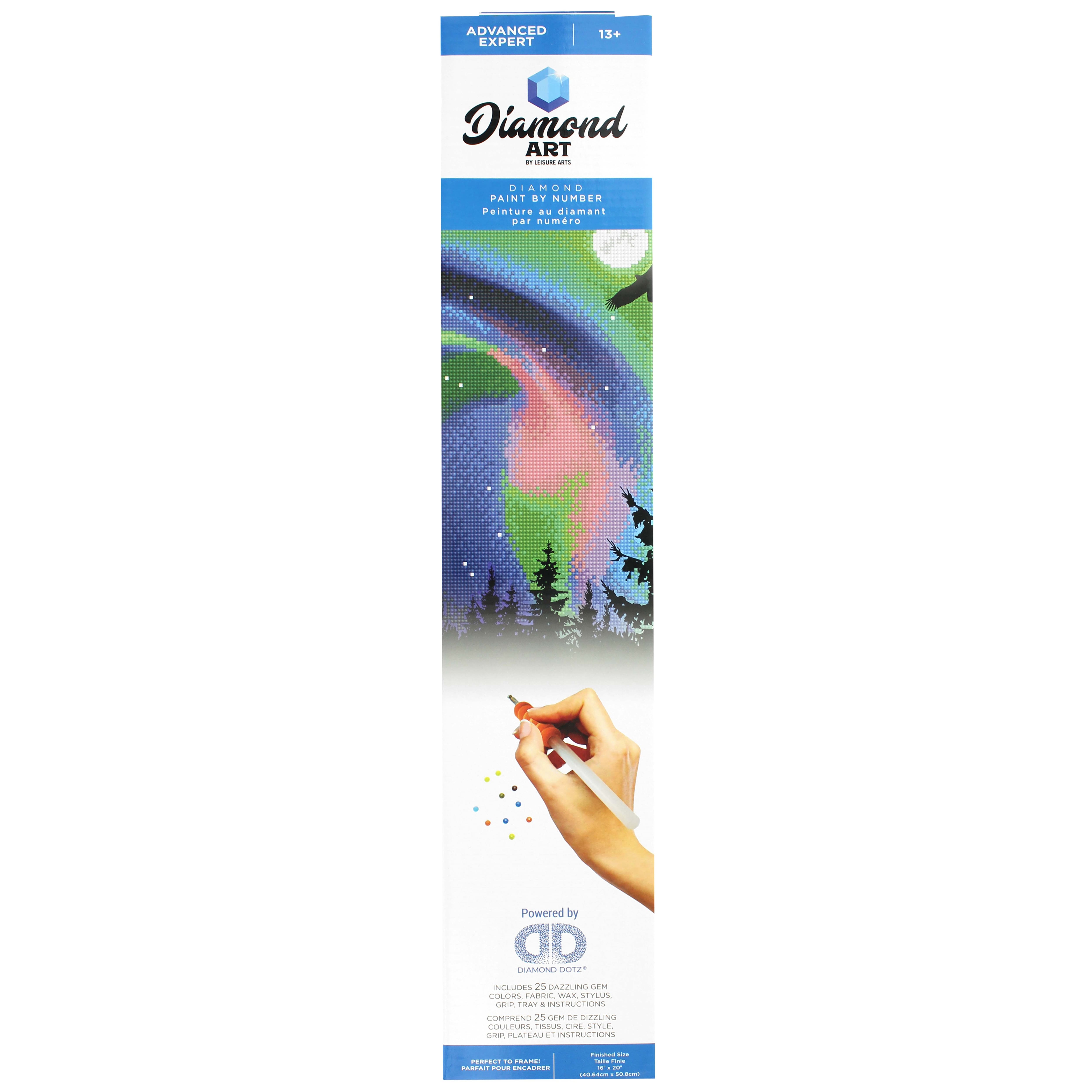 Diamond Art Advanced Aurora Eagle Paint by Number Kit
