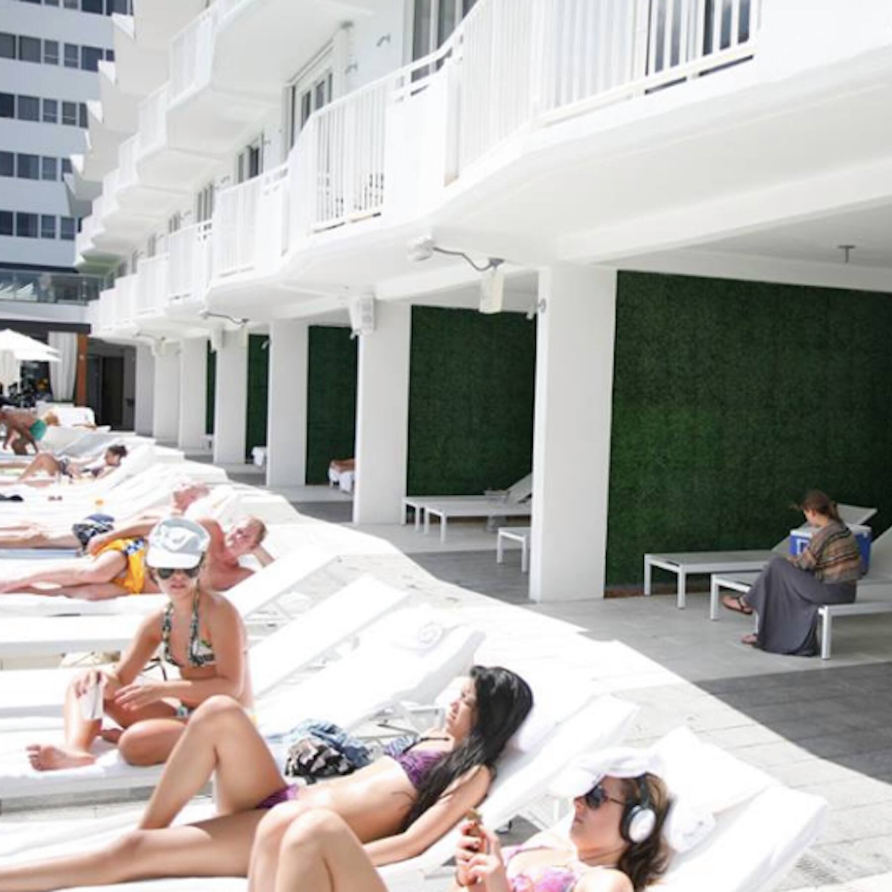 20" Ficus Style Plant Living Wall Panels, 4ct.