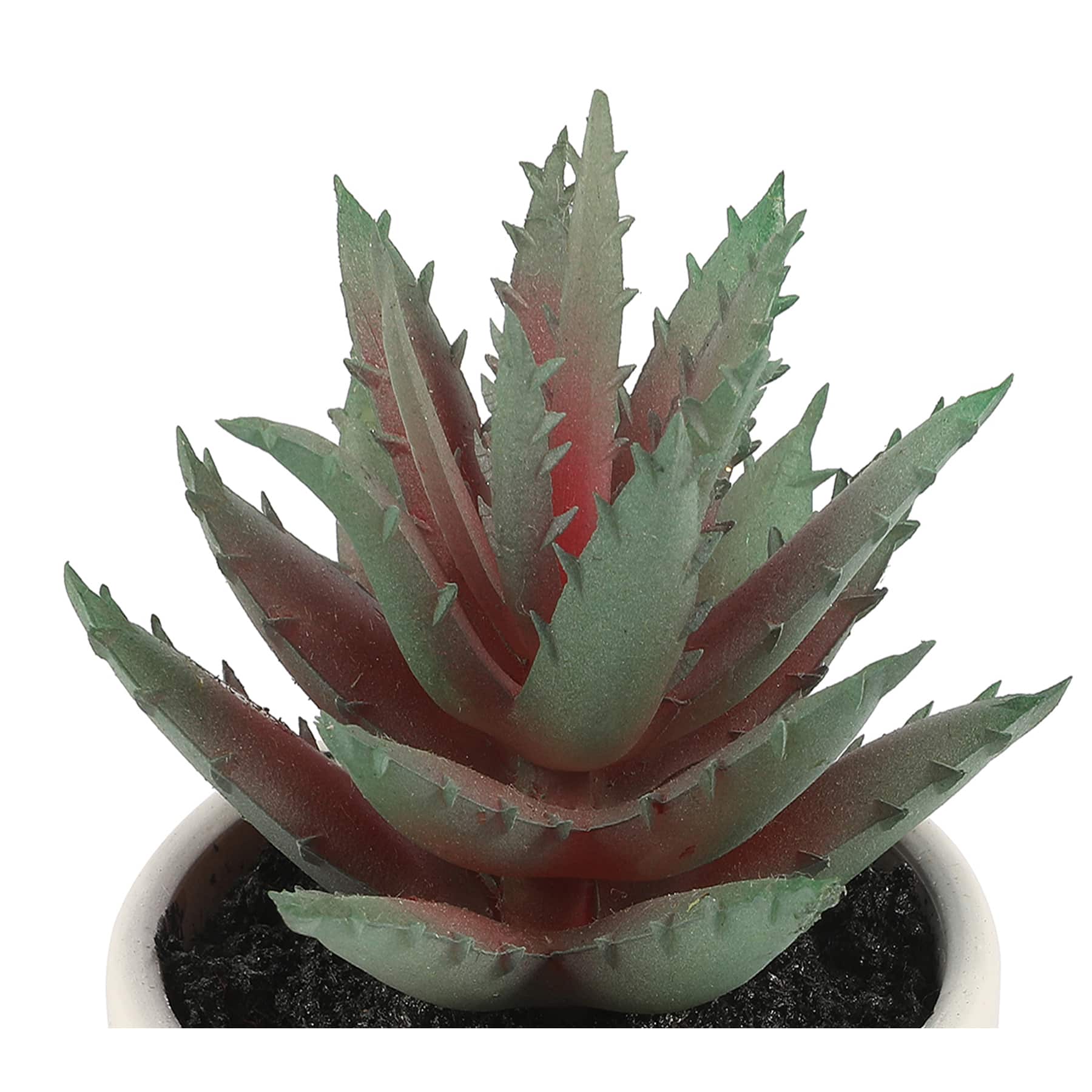 3&#x22; Potted Aloe Plant by Ashland&#xAE;
