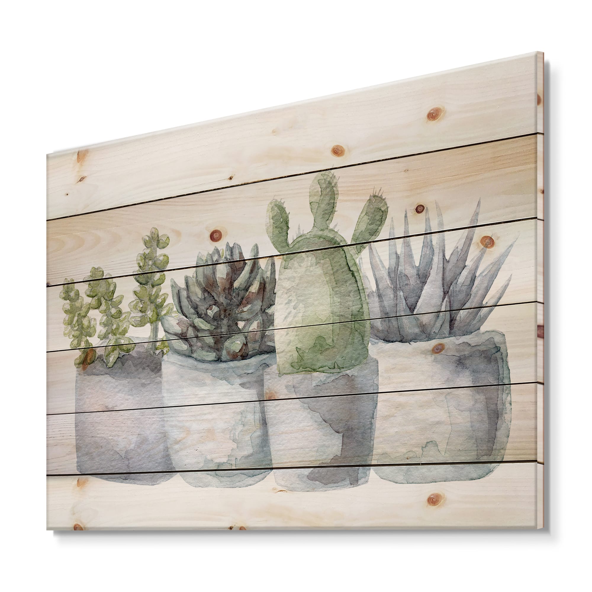 Designart - Cactus and Succulent House Plants I