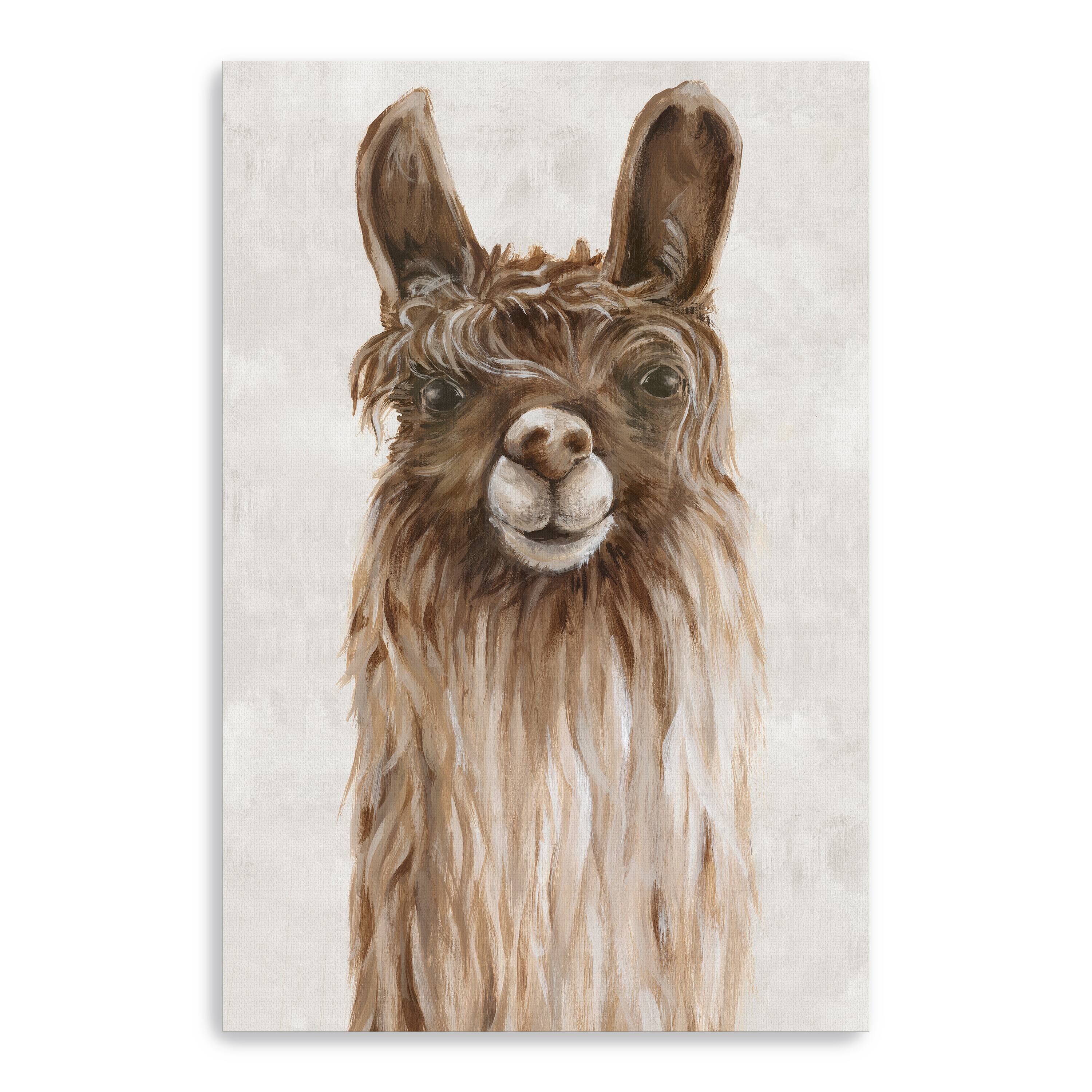 Lumaprints Suri Alpaca I Canvas Giclée
