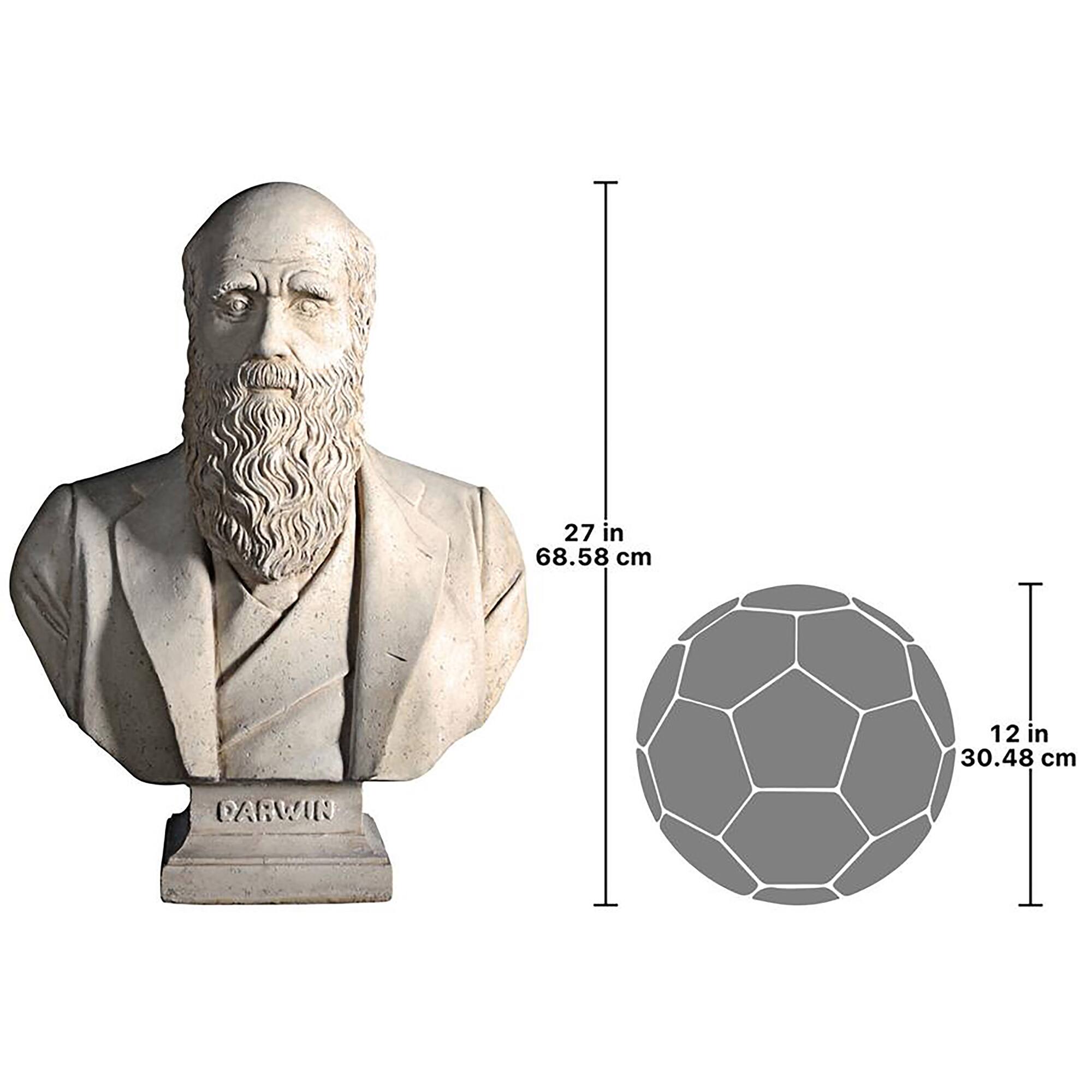 Design Toscano 27&#x22; The Evolution of Charles Darwin Bust Statue