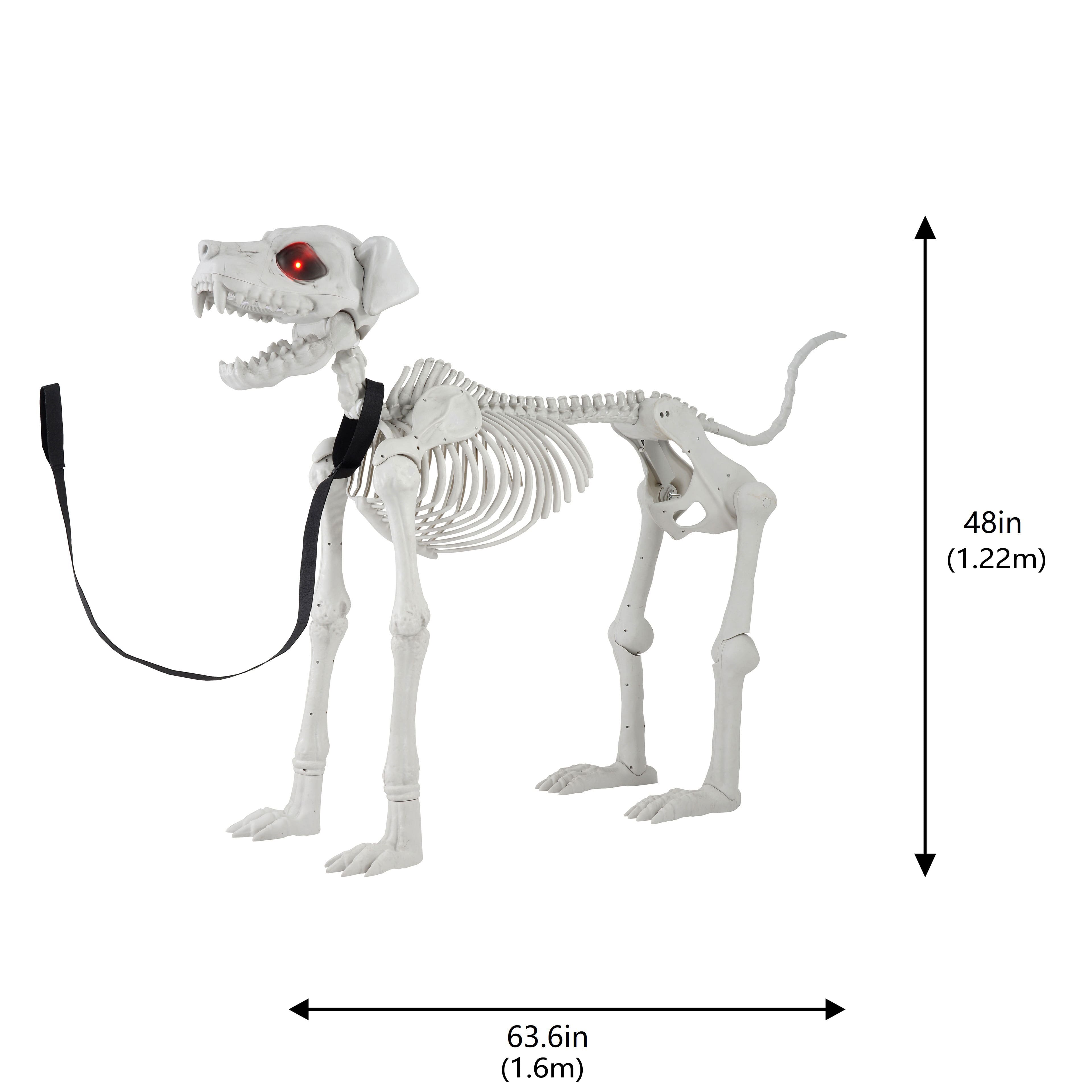 5ft. Poseable Dog Skeleton by Ashland&#xAE;