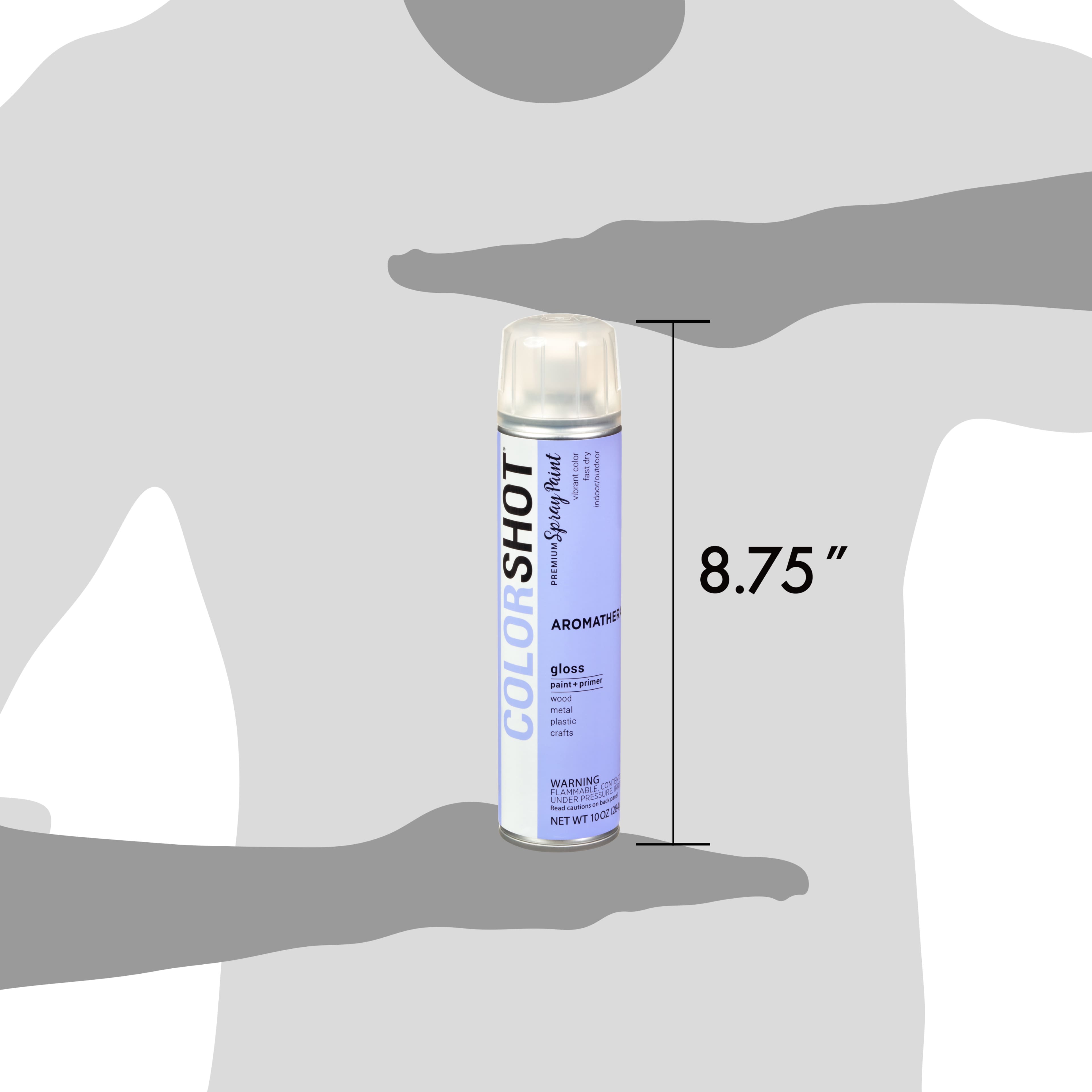 COLORSHOT® Premium Gloss Spray Paint