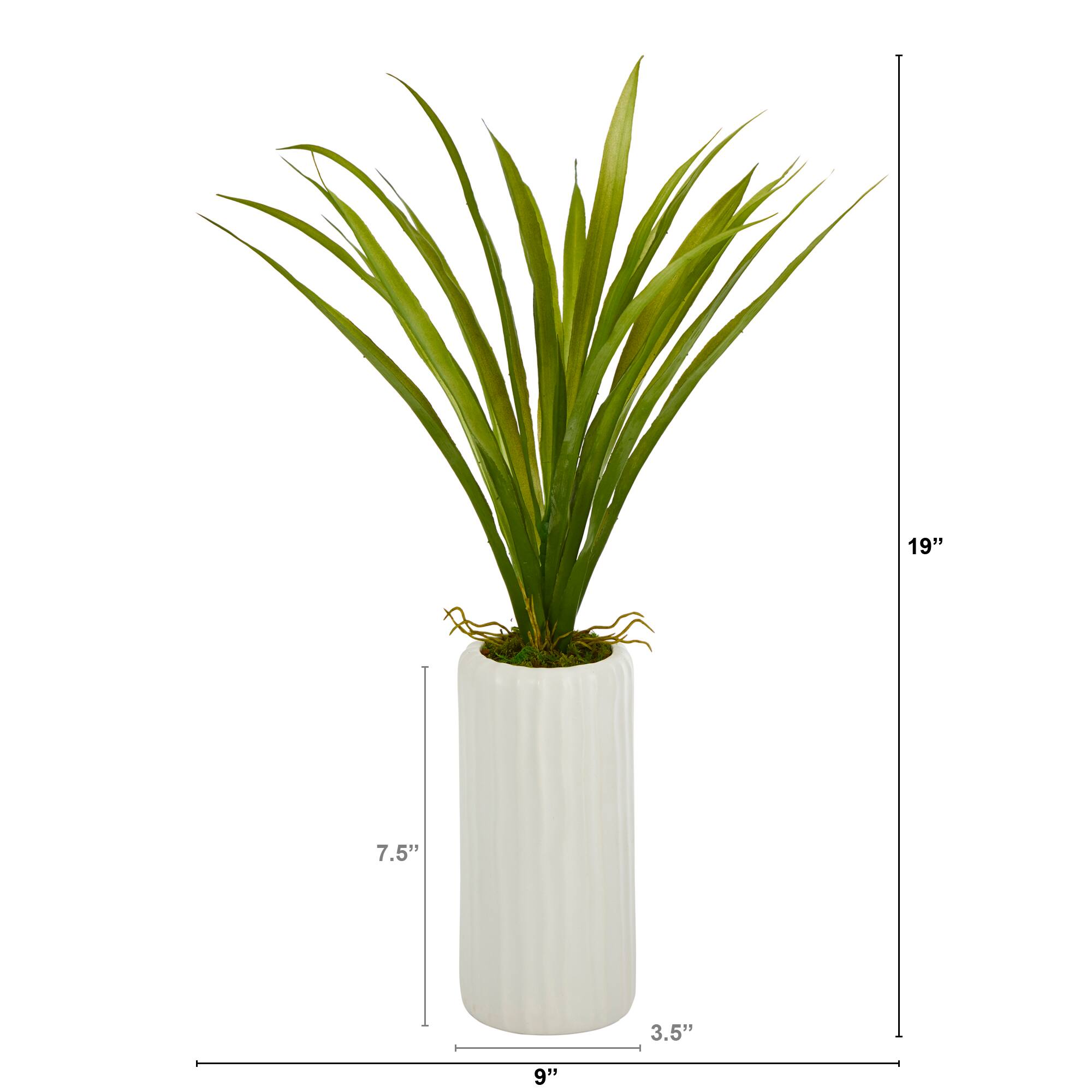 19'' Grass Plant in Tall White Planter
