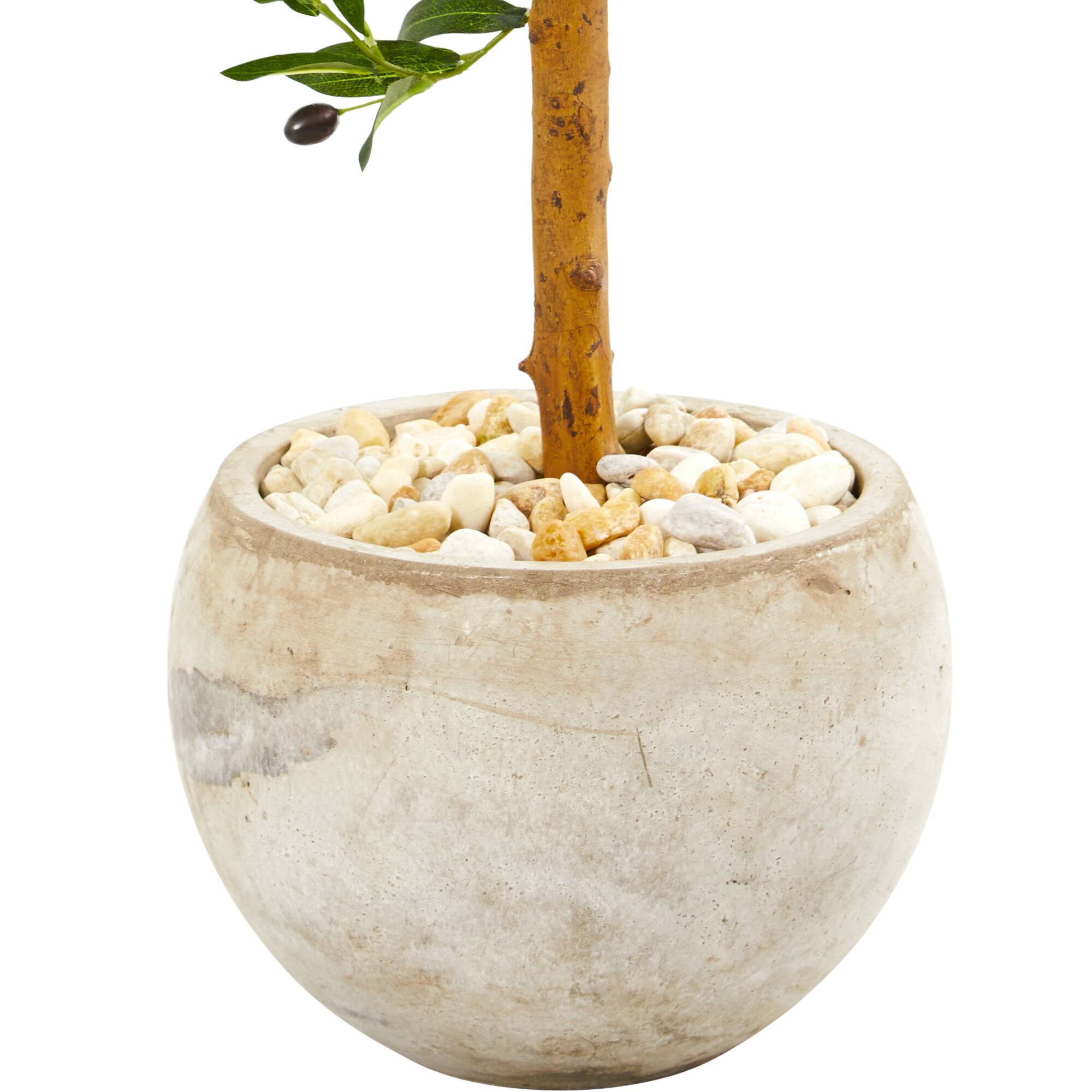 3ft. Olive Topiary Tree in Bowl Planter