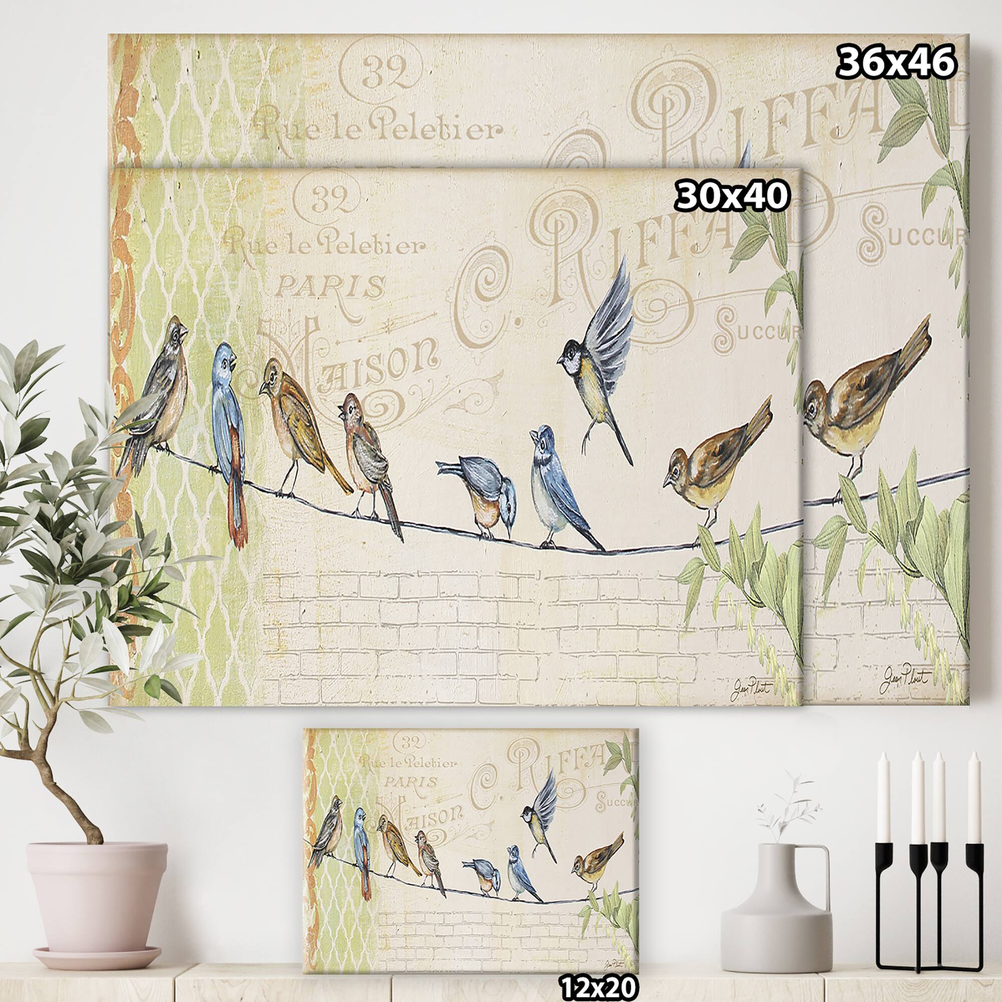 Designart - Birds Gathered On Wire Paris III - Cottage Canvas Art Print