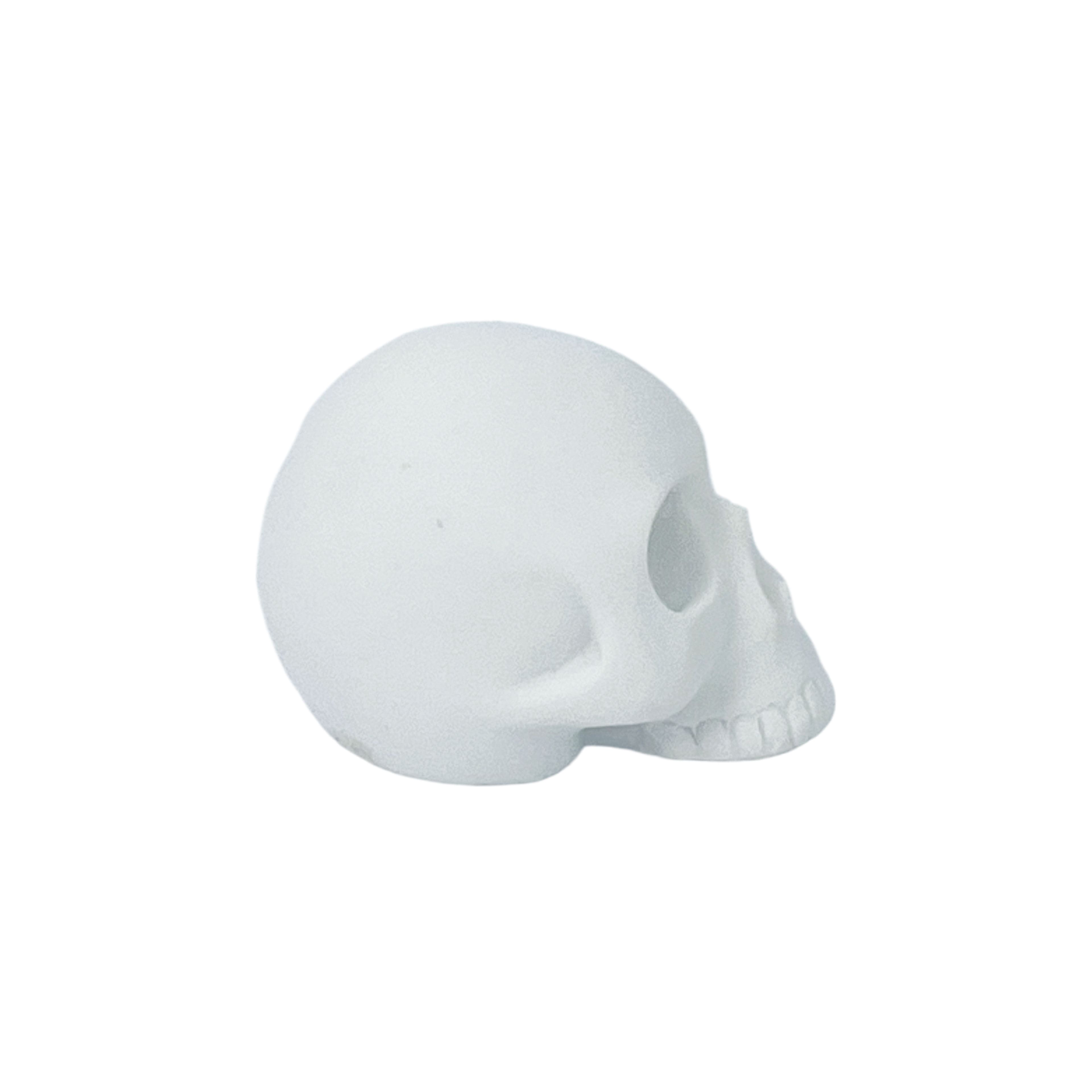 2" DIY Resin Décor Skulls, 12ct. by Make Market®