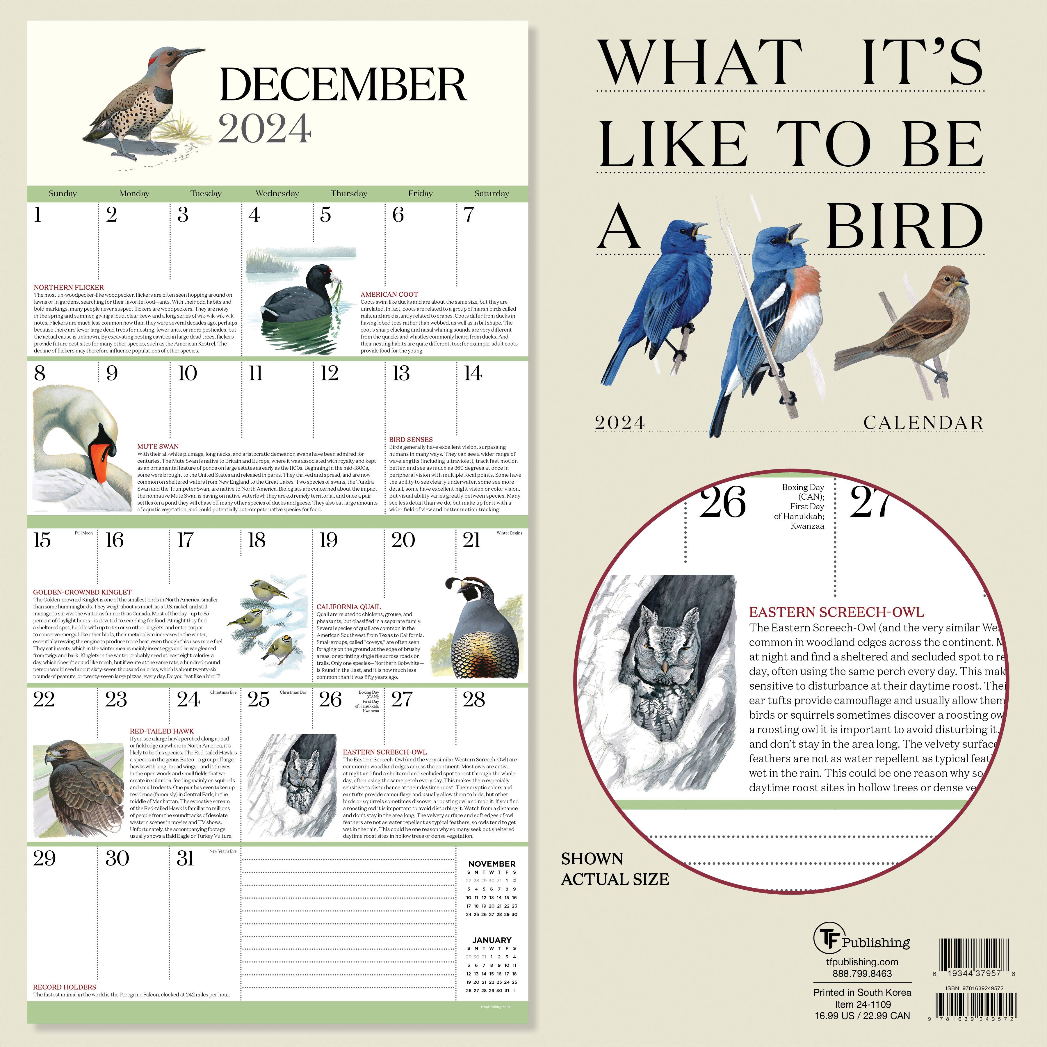 TF Publishing 2024 What It's Like To Be A Bird Wall Calendar