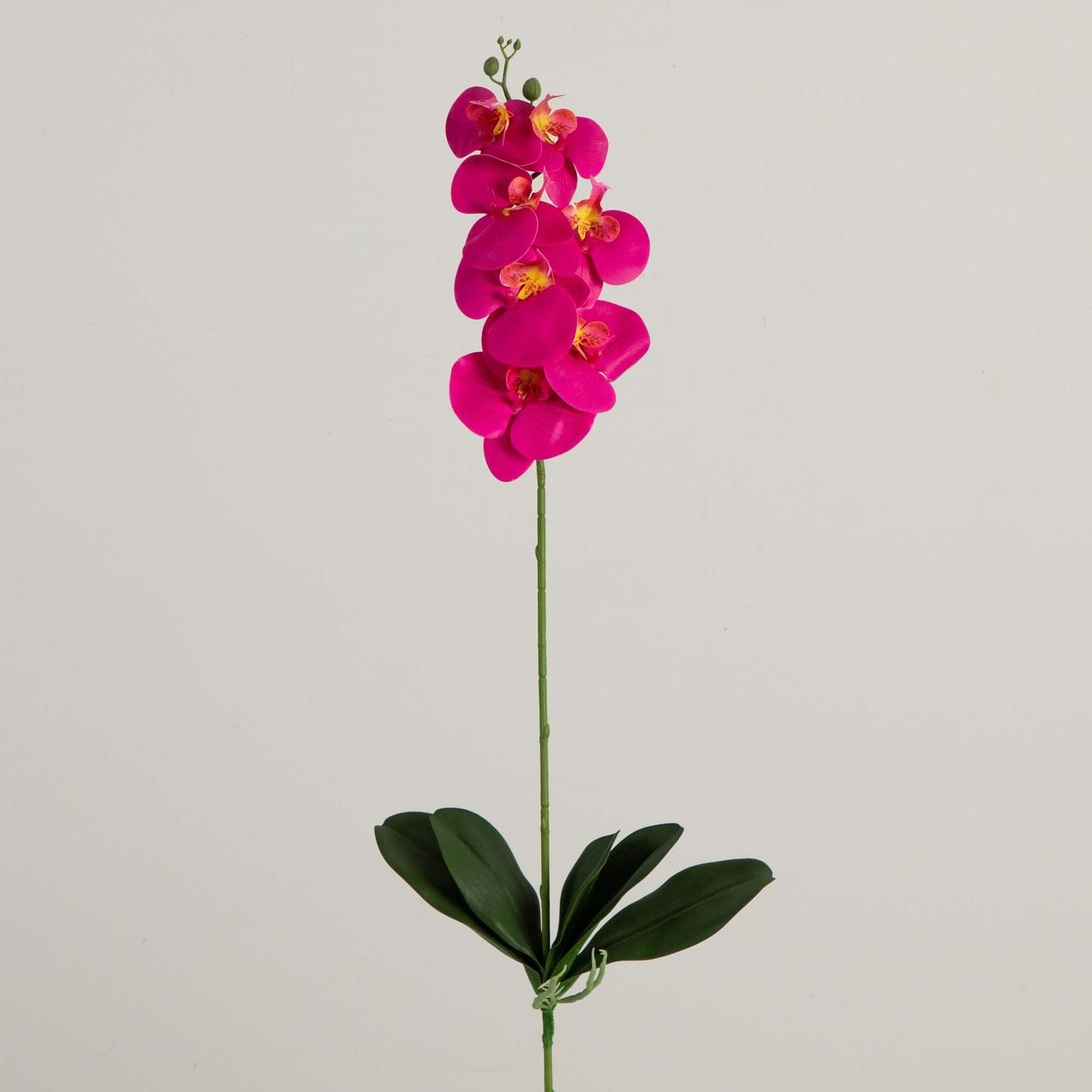 35&#x22; Beauty Pink Orchid Flower Stems, 3ct.