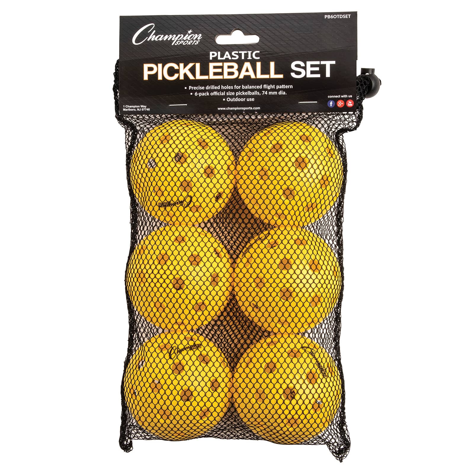 Champion Sports Recreational Outdoor Pickleball Set | Michaels