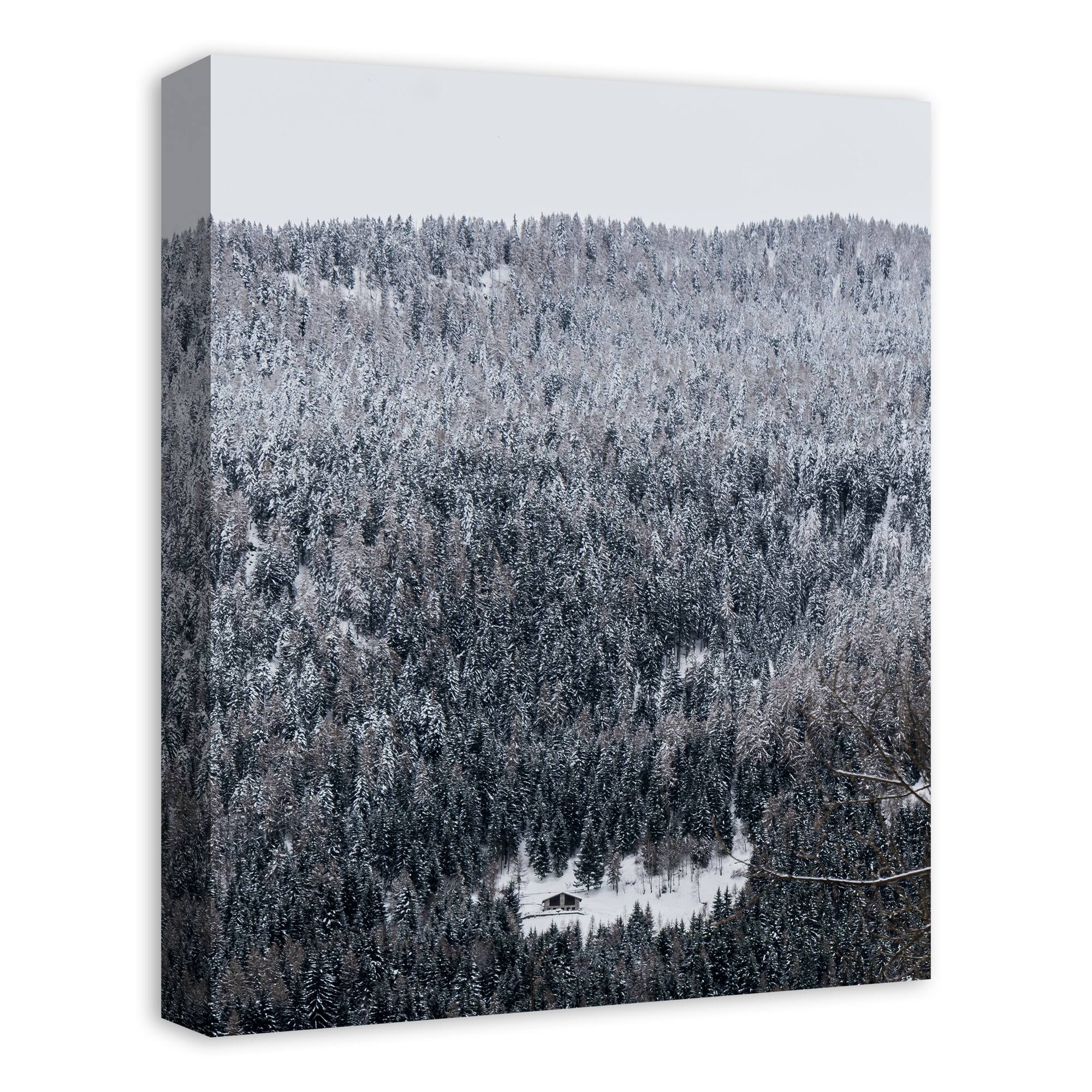 Unsplash Cabin Snowy Woods 16x20 Canvas Wall Art