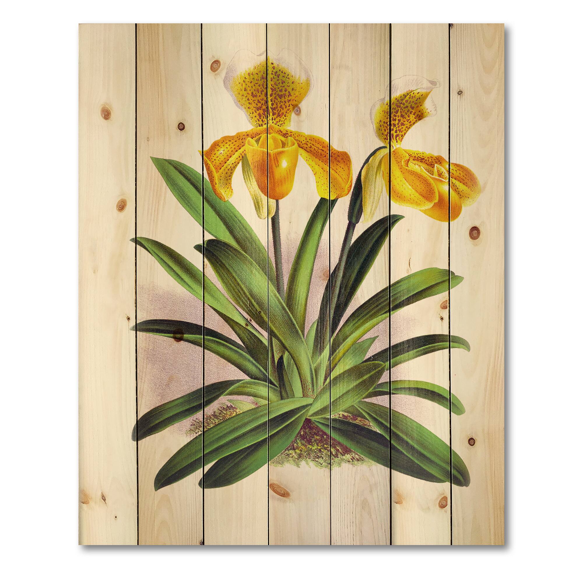 Designart - Vintage Yellow Orchid - Traditional Print on Natural Pine Wood