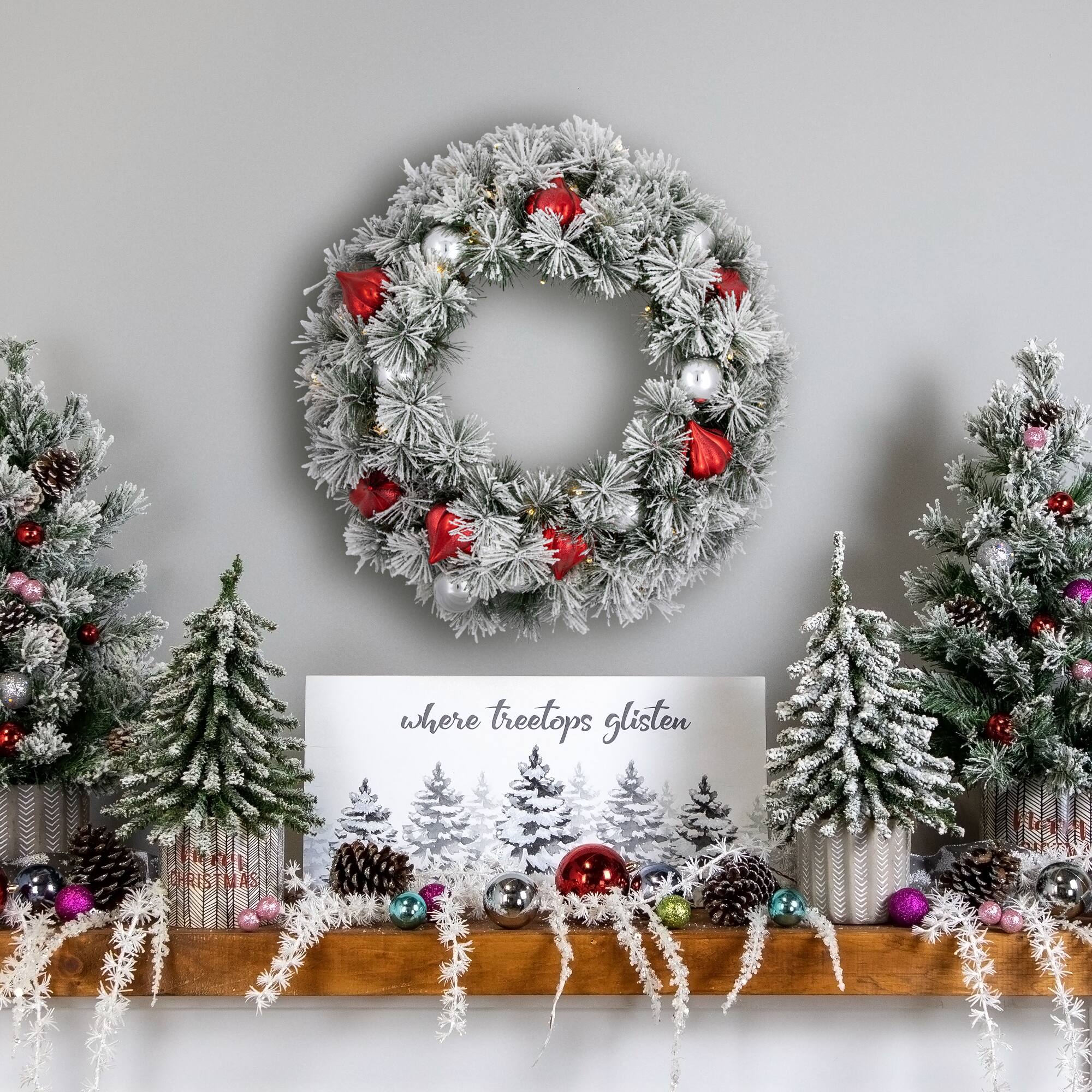 24" Pre-Lit Snowy Bristle Pine Christmas Wreath, Warm White LED Lights