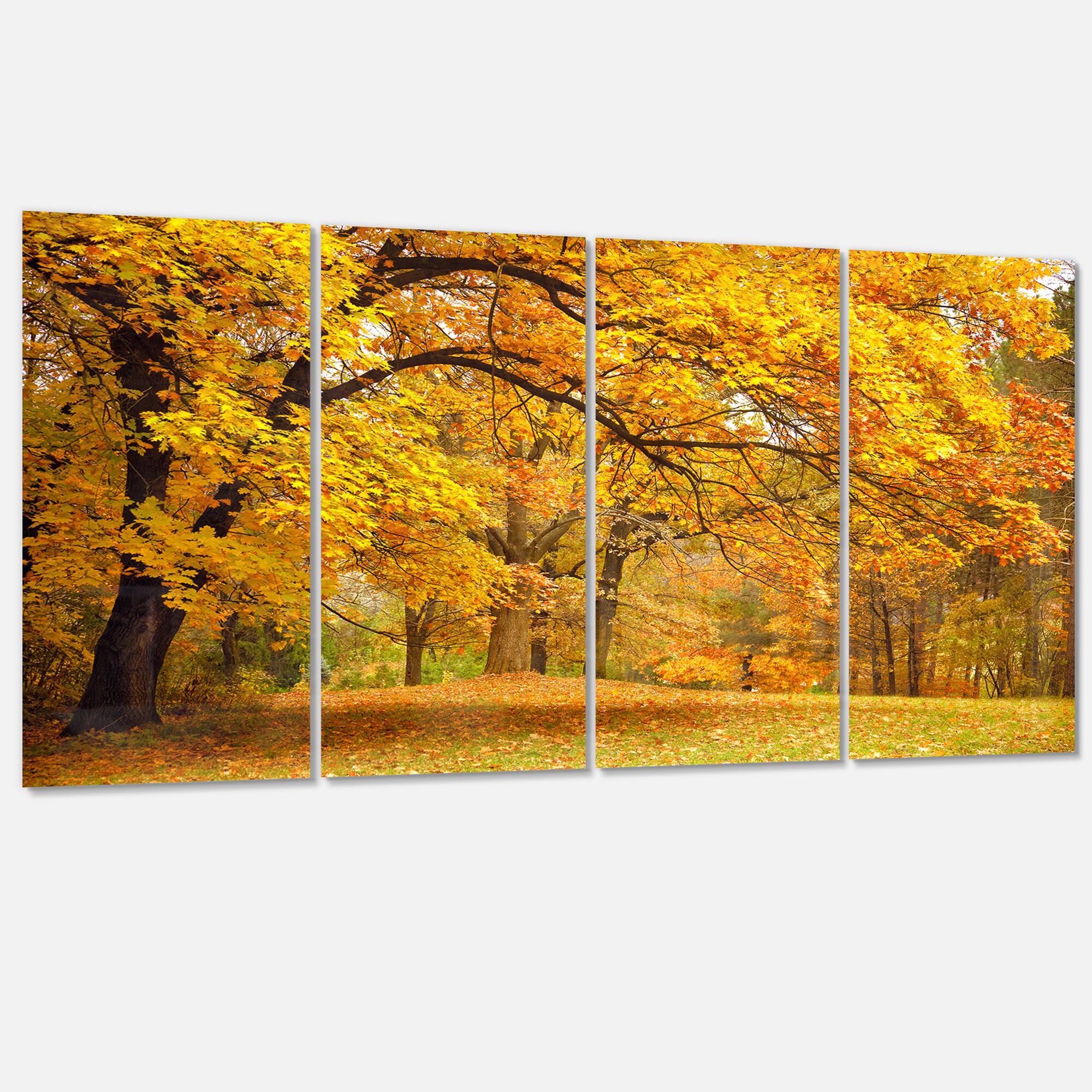 Designart - Golden Autumn Forest - Landscape Photography Canvas Print