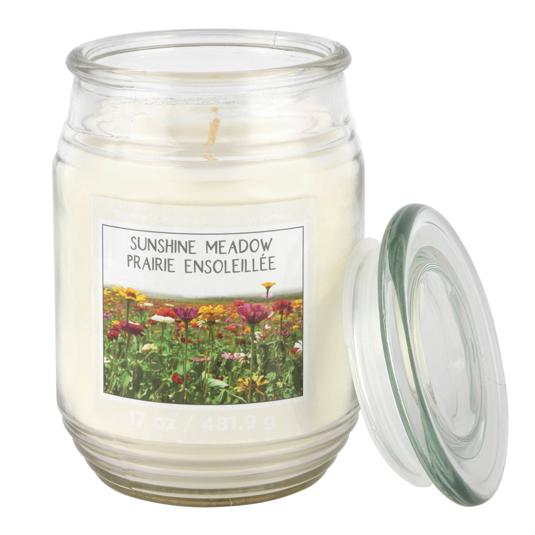 Sunshine Meadow Scented Jar Candle by Ashland® Spring Jar Candles