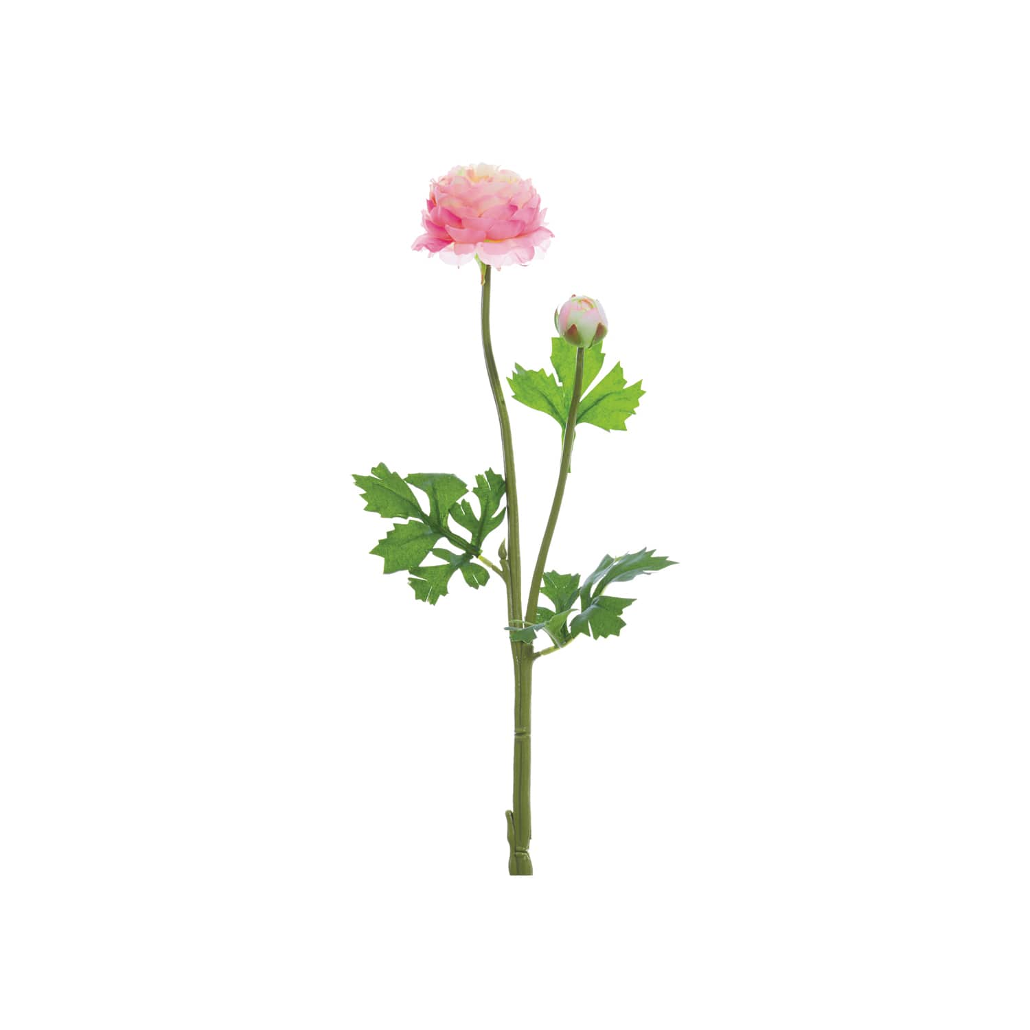 Pink Ranunculus Spray 