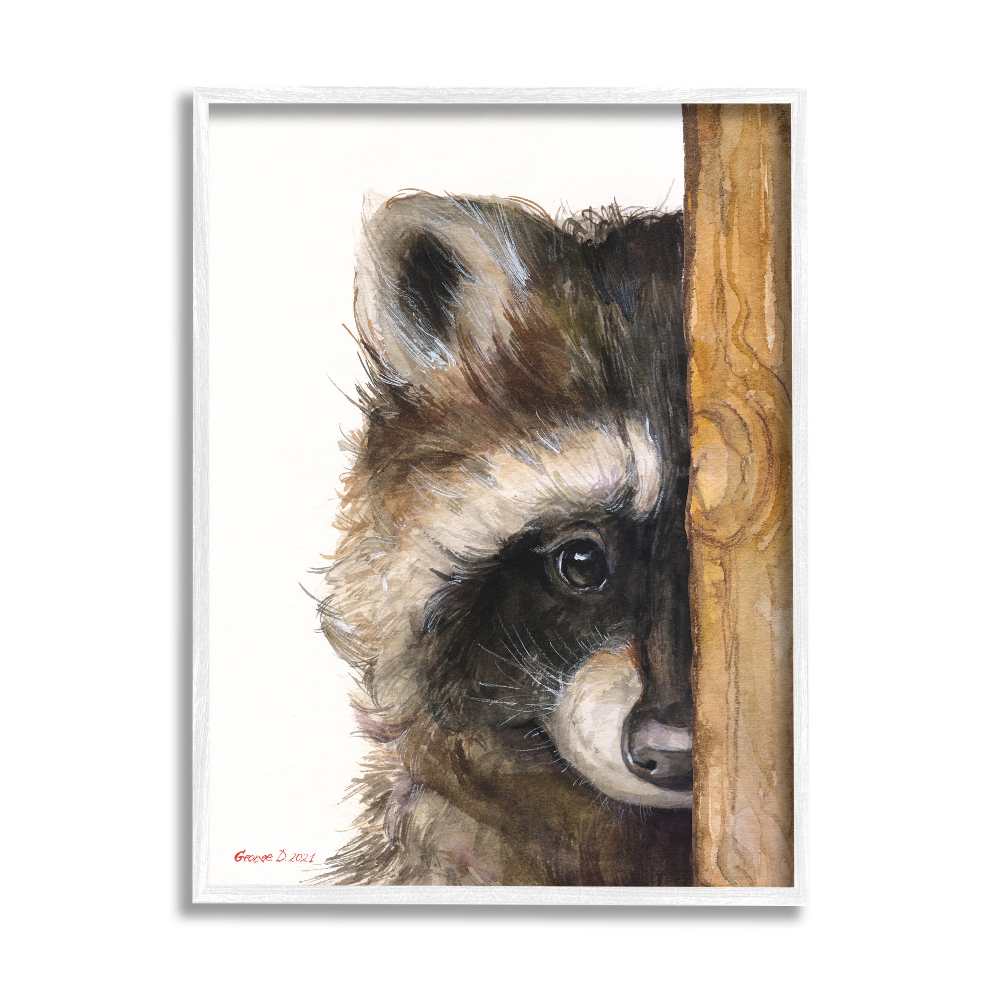 Stupell Industries Raccoon with Wood Fence Illustration Framed Giclee Art