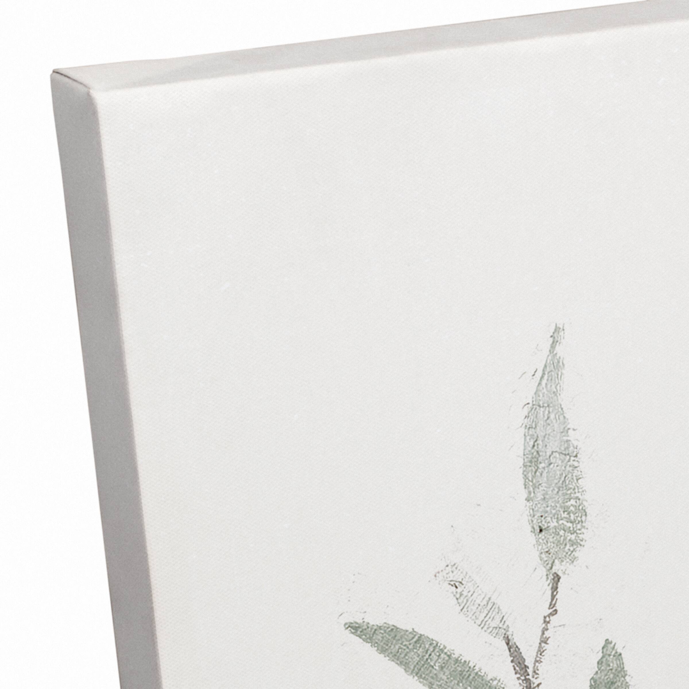 Greenery In Mason Jars 30" x 20" Canvas Wall Art