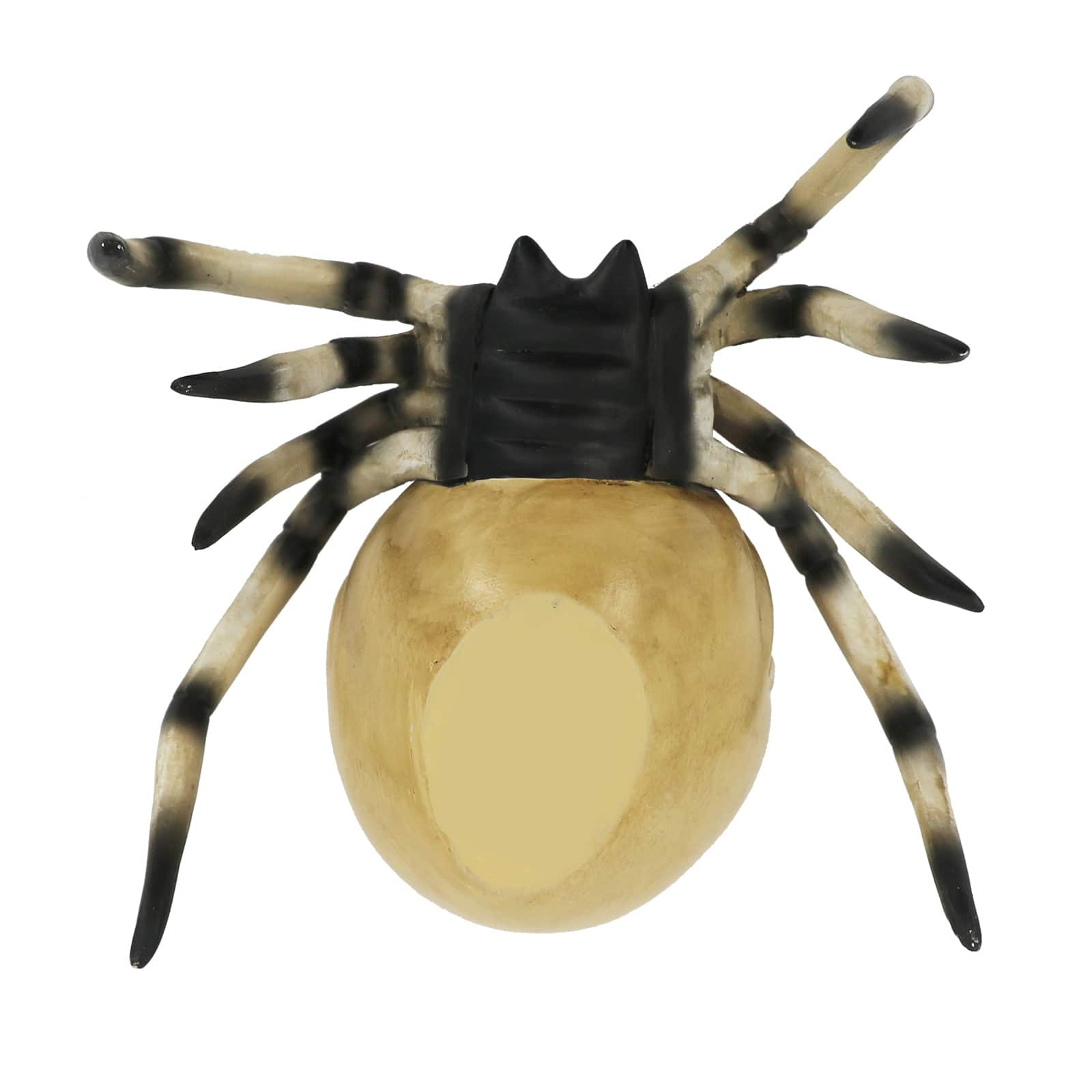 5.5&#x22; Spider with Eyeball Tabletop D&#xE9;cor by Ashland&#xAE;