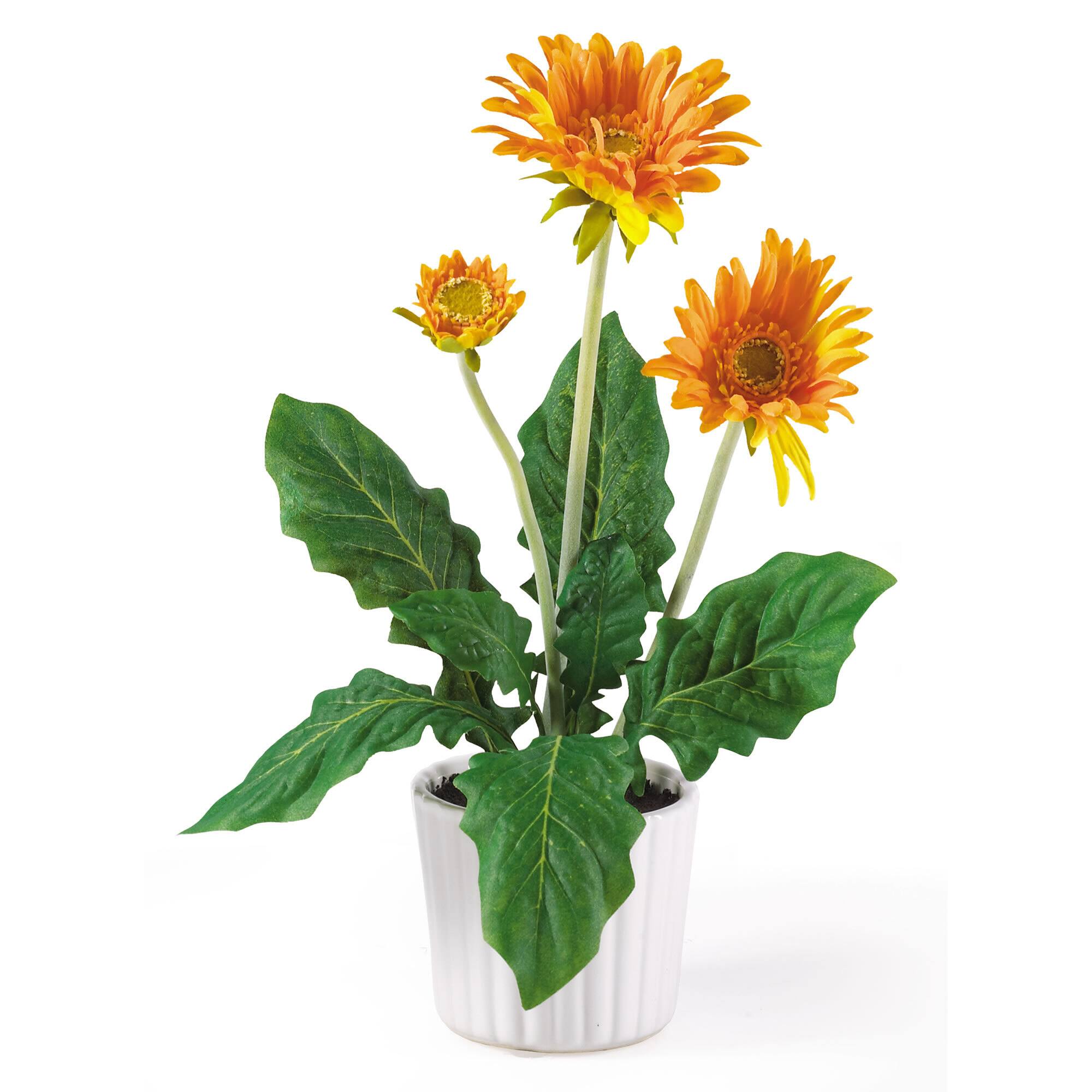 12" Colorful Gerbera Daisy in White Pot, 6ct. Michaels