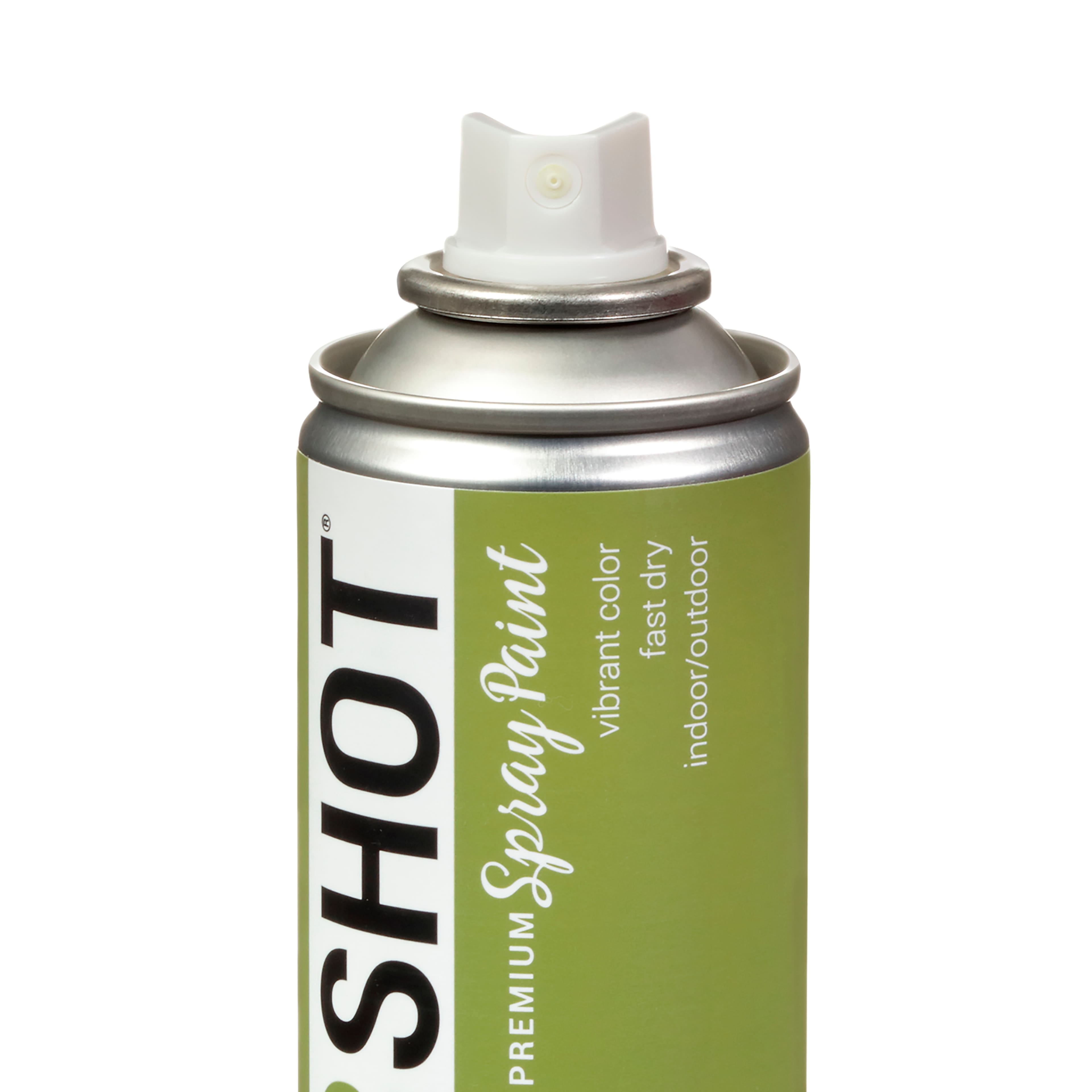 COLORSHOT&#xAE; Premium Satin Spray Paint