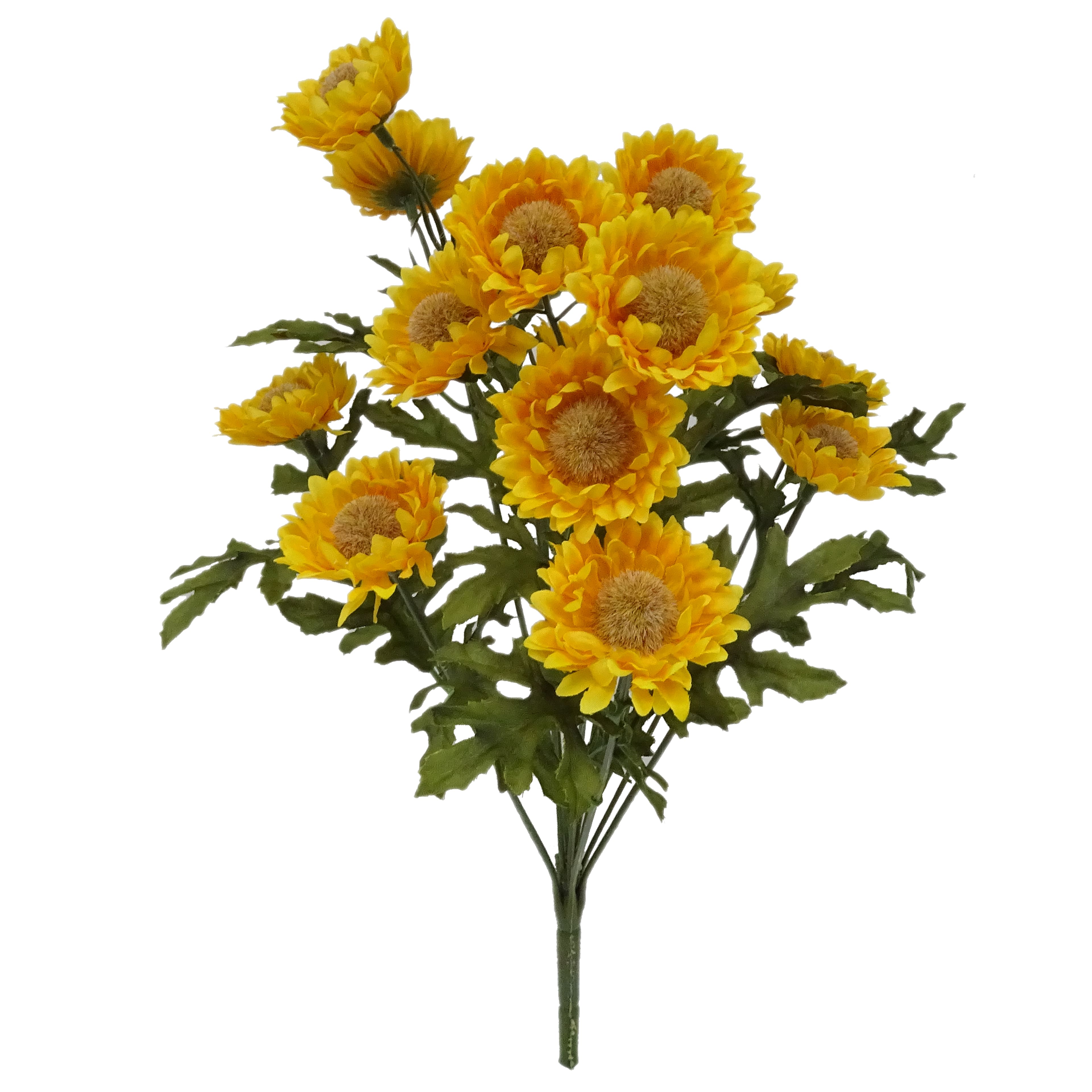 16&#x22; Yellow Straw Flower Bush by Ashland&#xAE;