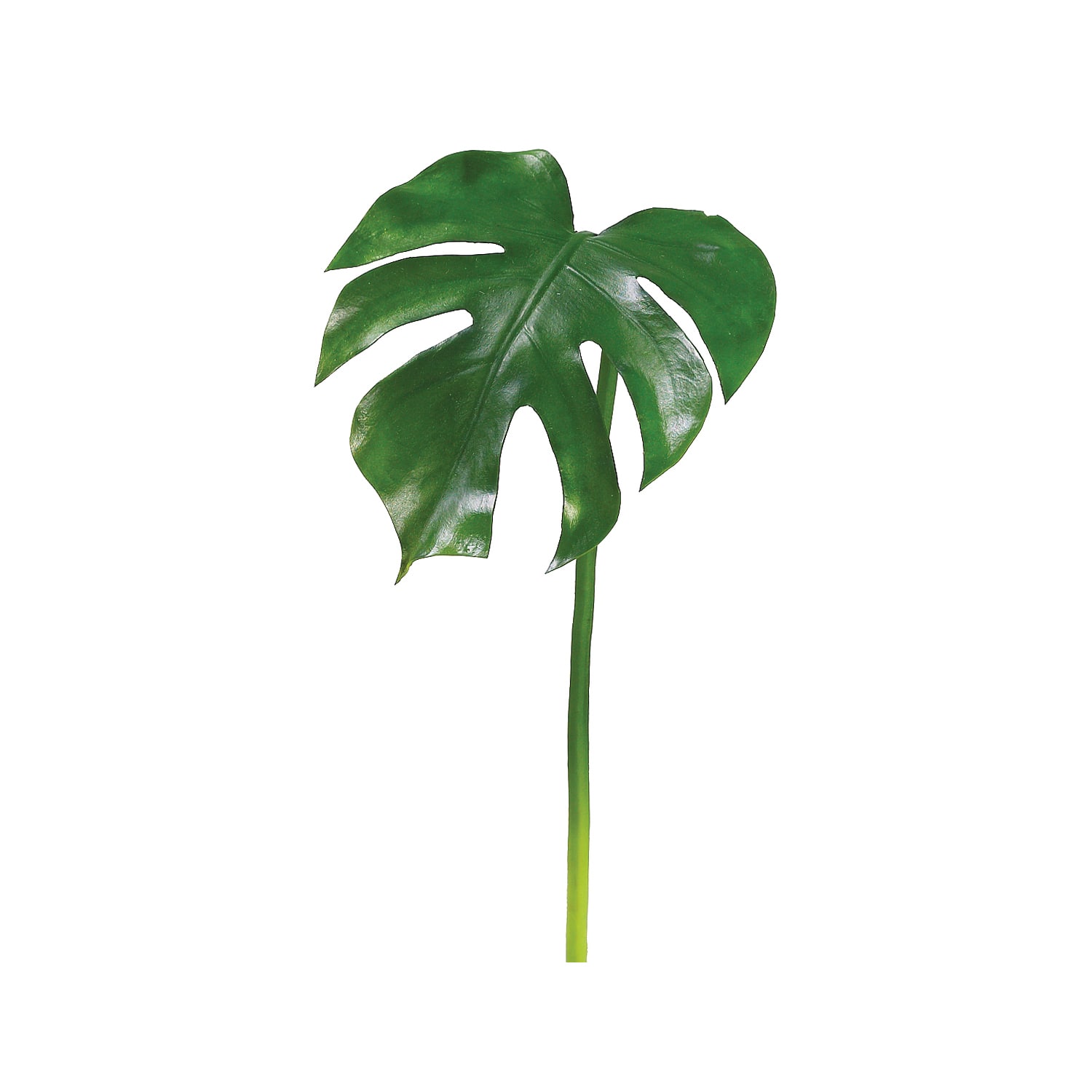 Split Philodendron Leaf Spray