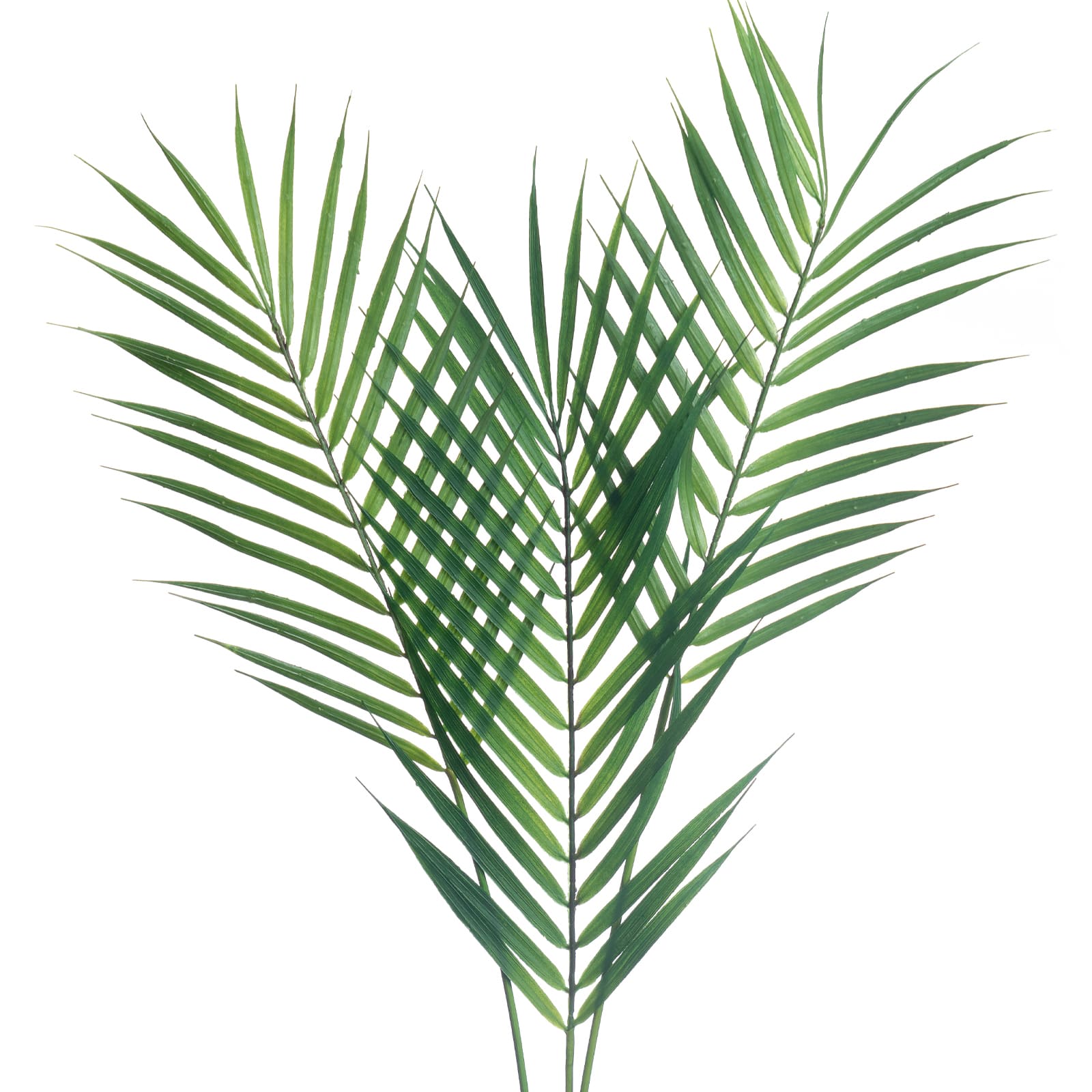 35&#x22; Green Areca Palm Frond Stem by Ashland&#xAE;