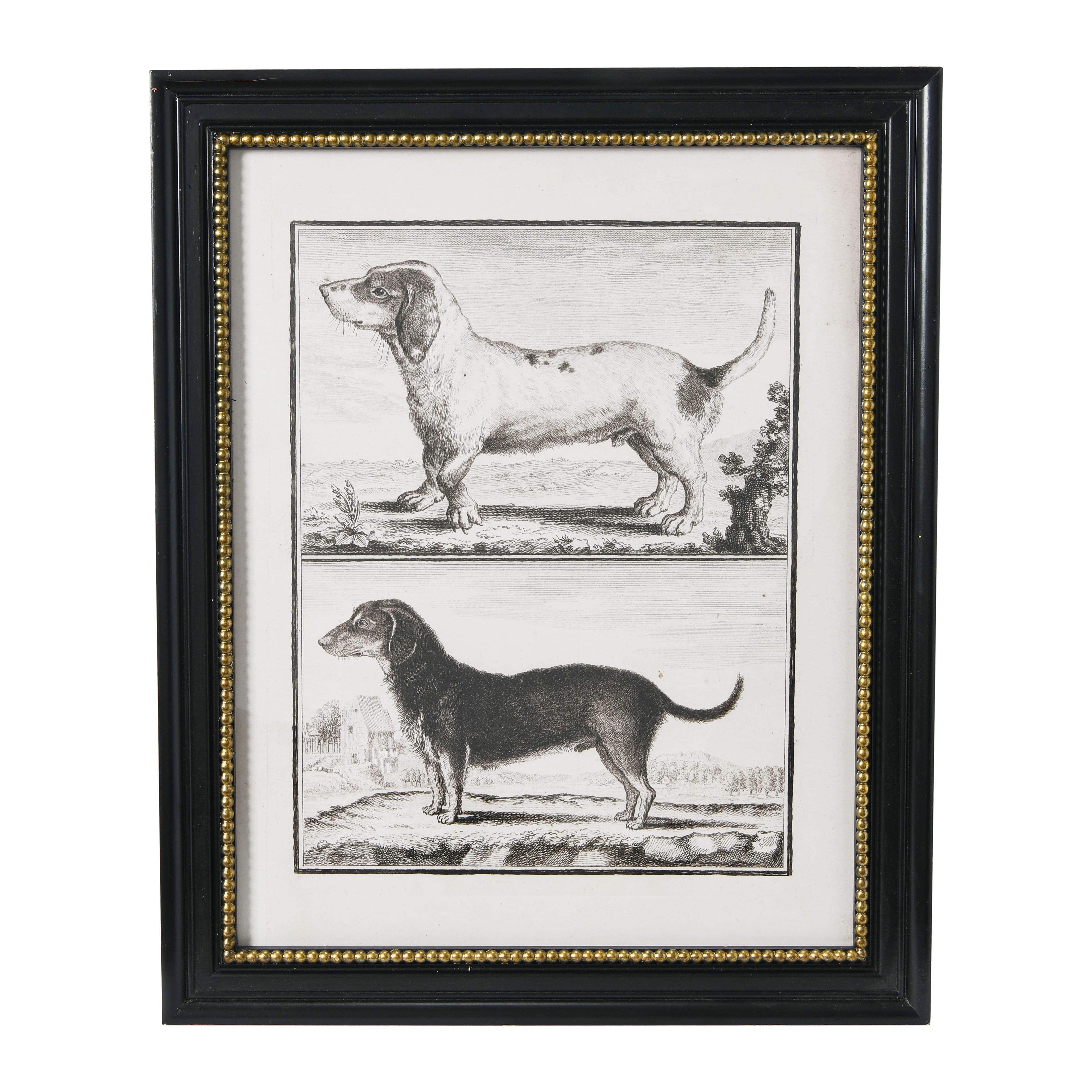 Hello Honey&#xAE; Framed Vintage Reproduction Dog Print