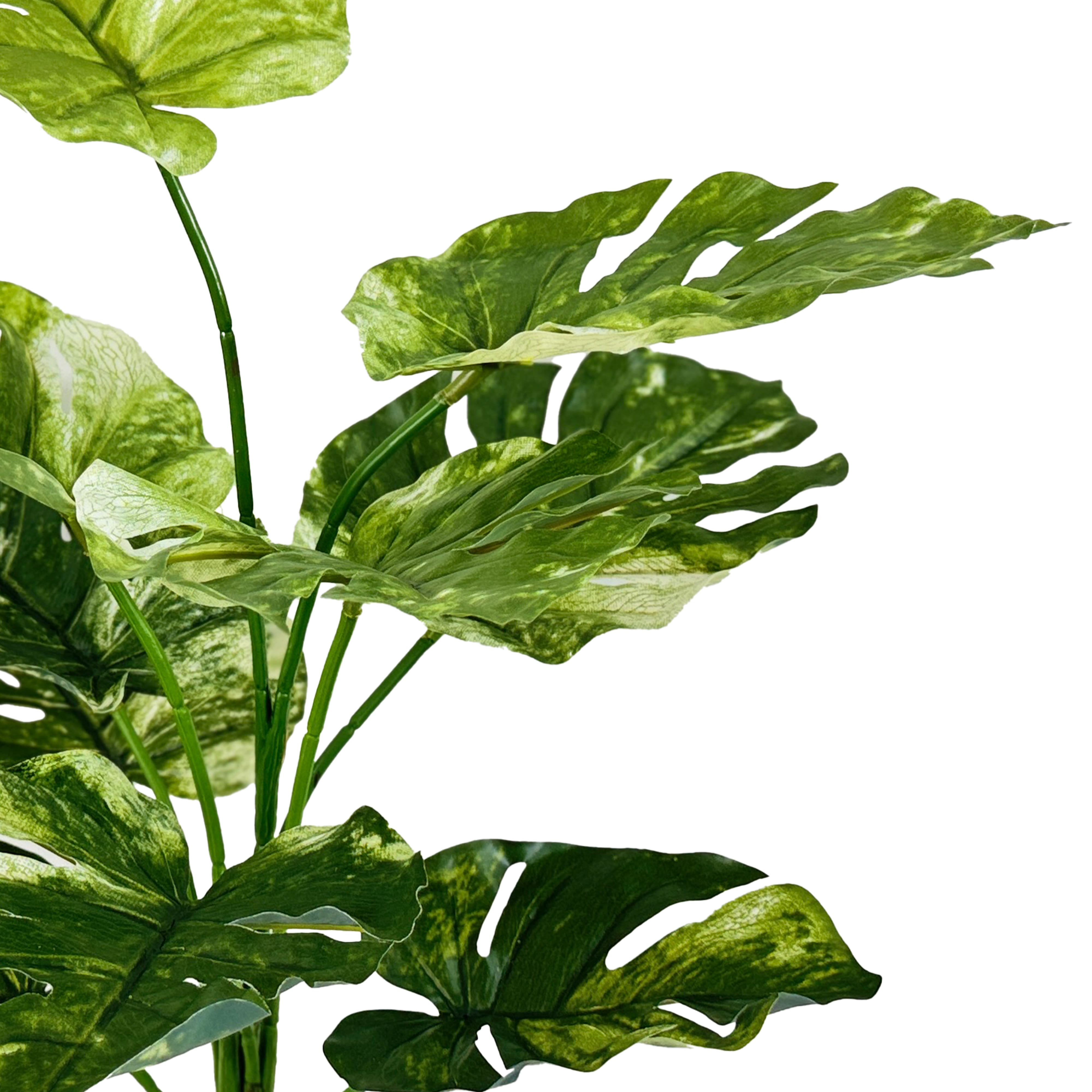 29" Potted Green Variegated Monstera Plant by Ashland®