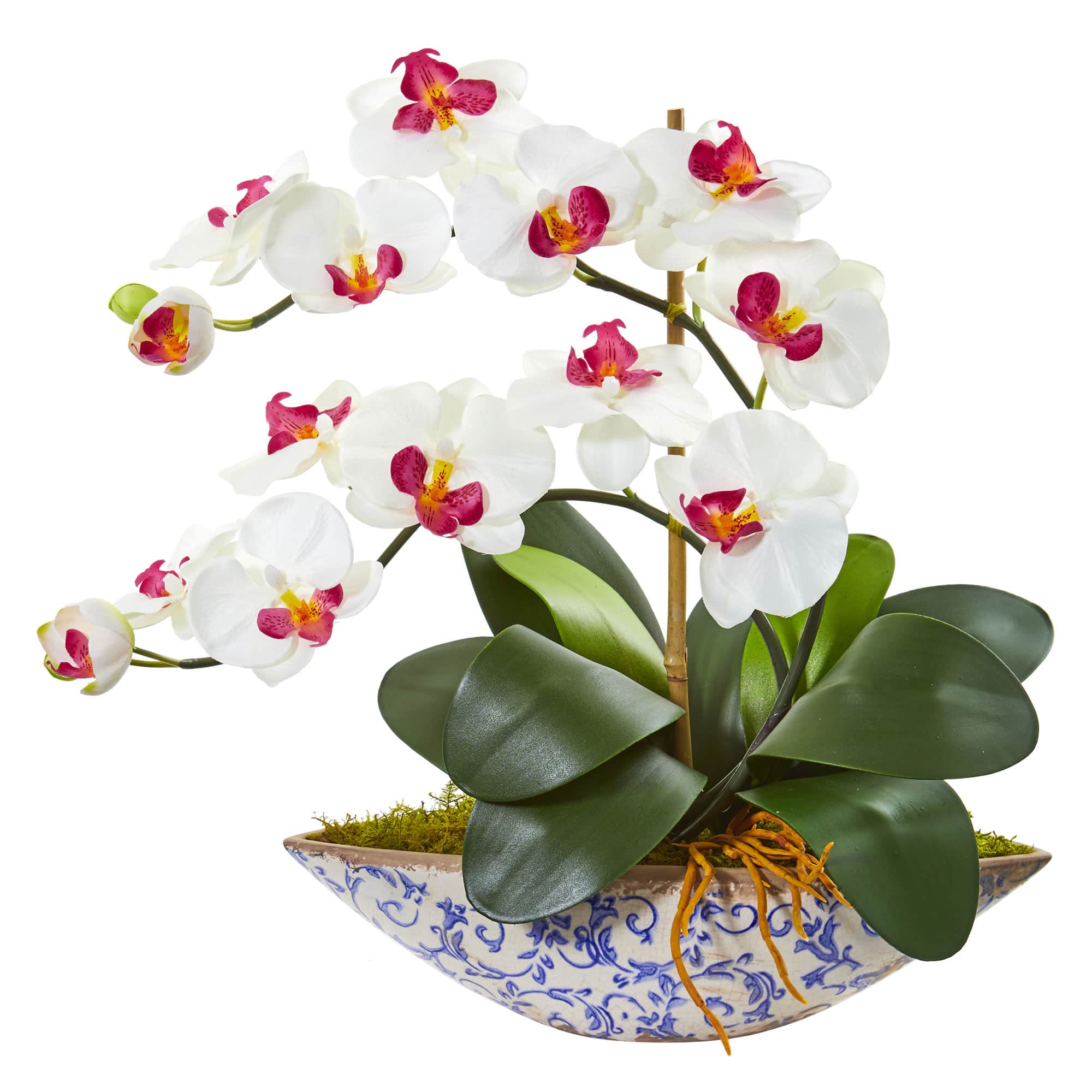 16" Moth Orchid Arrangement in Blue Floral Vase