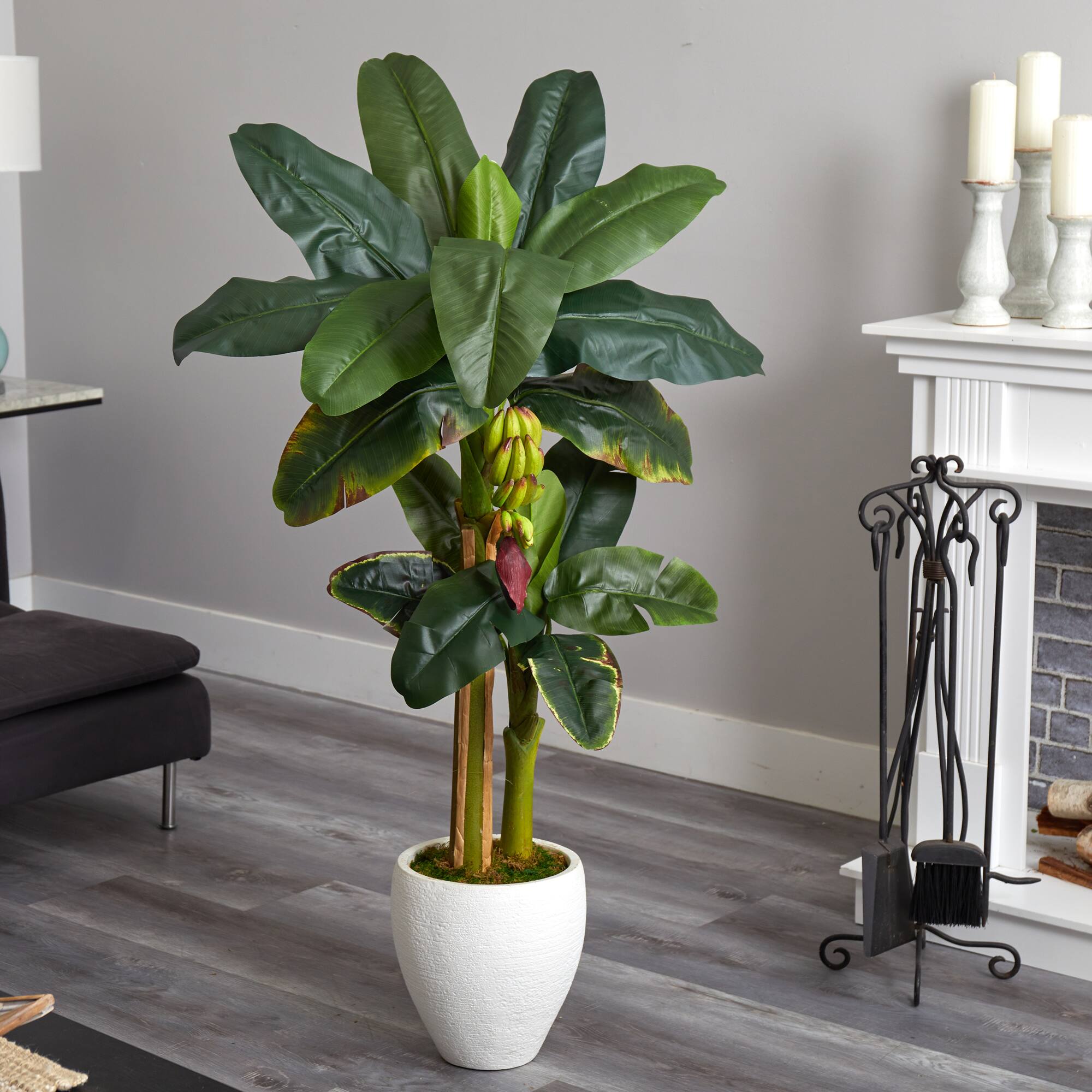 5ft. Double Stalk Banana Tree in White Planter