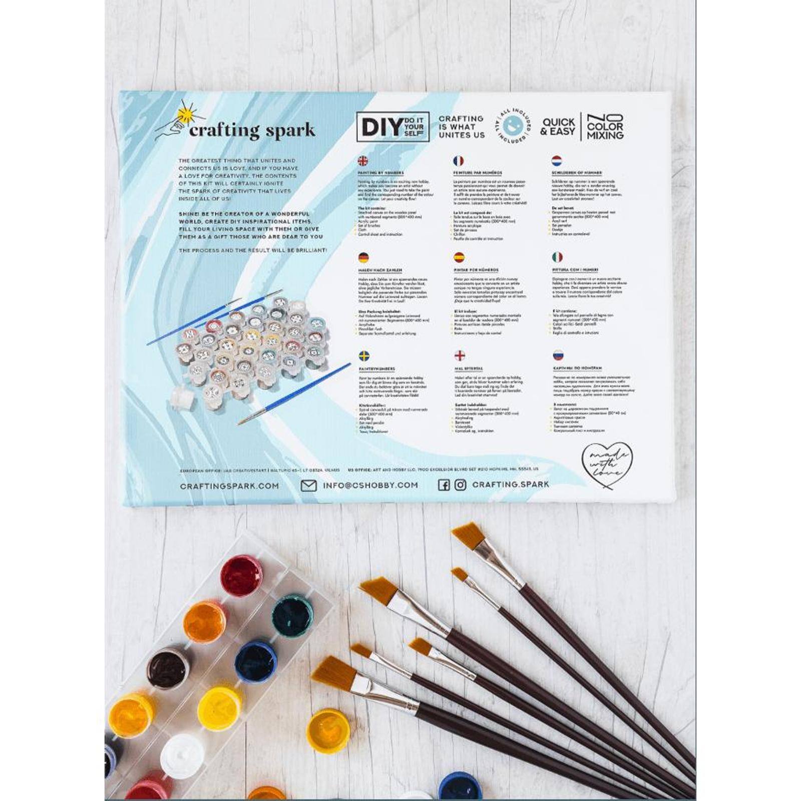 Kit di pittura per numero - Rana - Crafting Spark