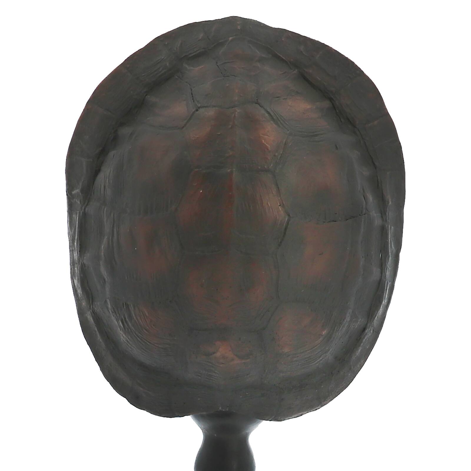 Turtle Shell Tabletop Accent by Ashland&#xAE;