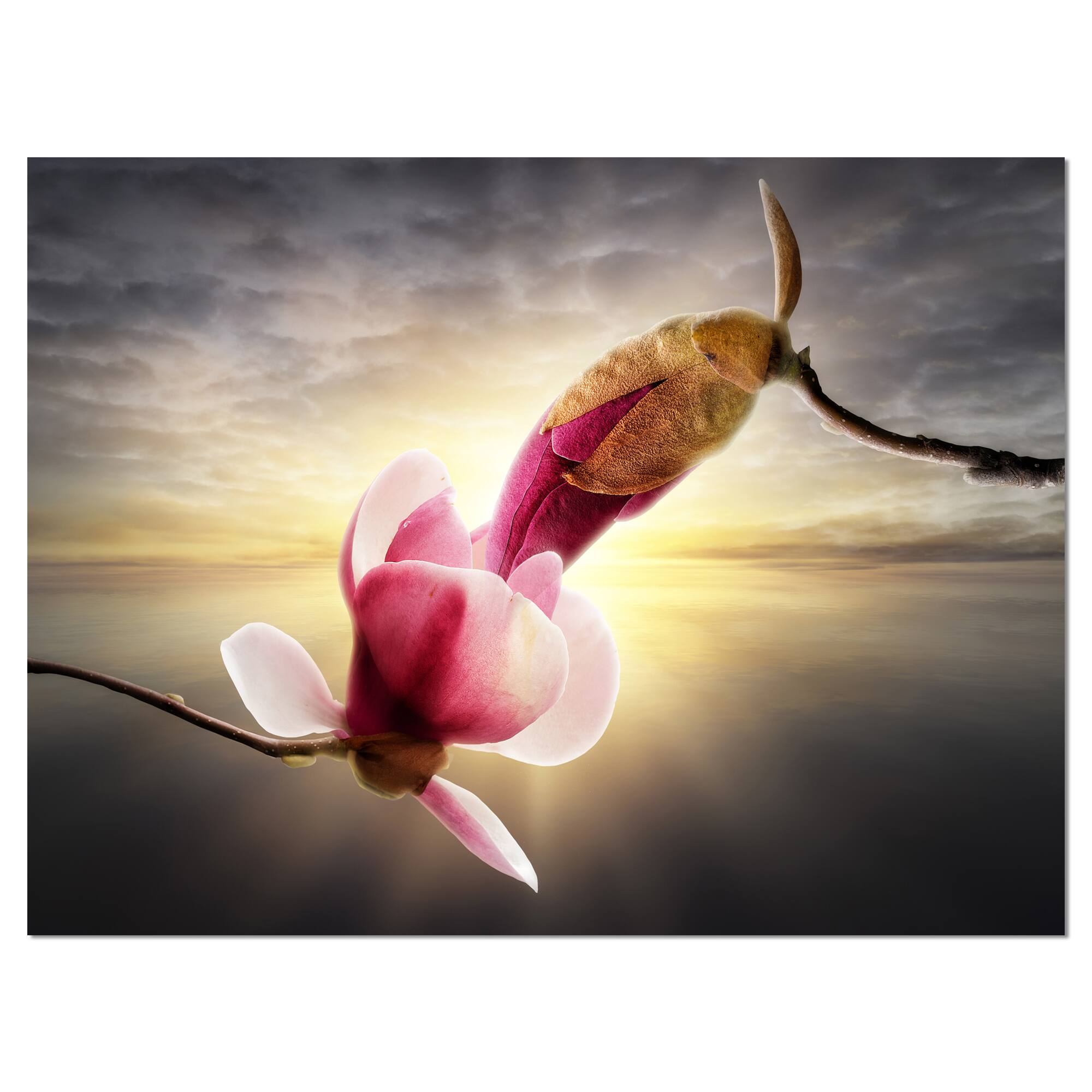 Designart - Beautiful Magnolia Flowers - Floral Canvas Art Print