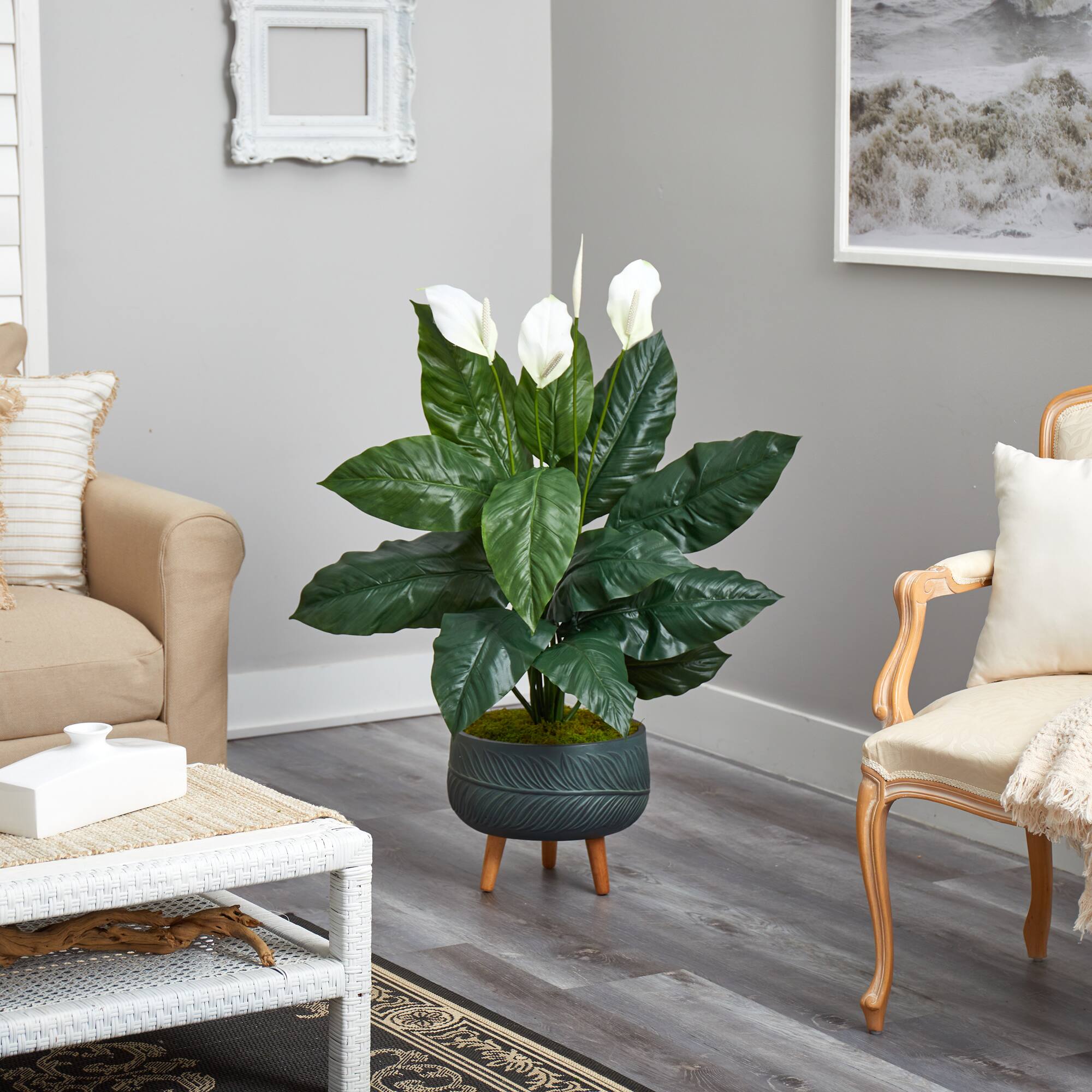 4ft. Peace Lily Plant in Black Planter with Stand