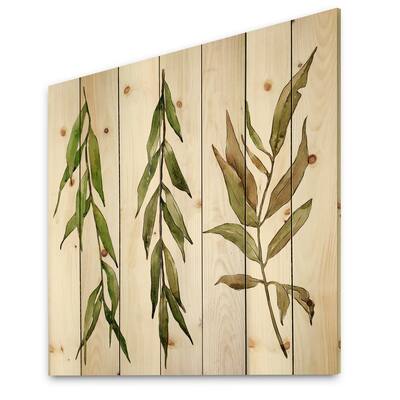 Designart - Three Willow Branches - Farmhouse Print on Natural Pine ...