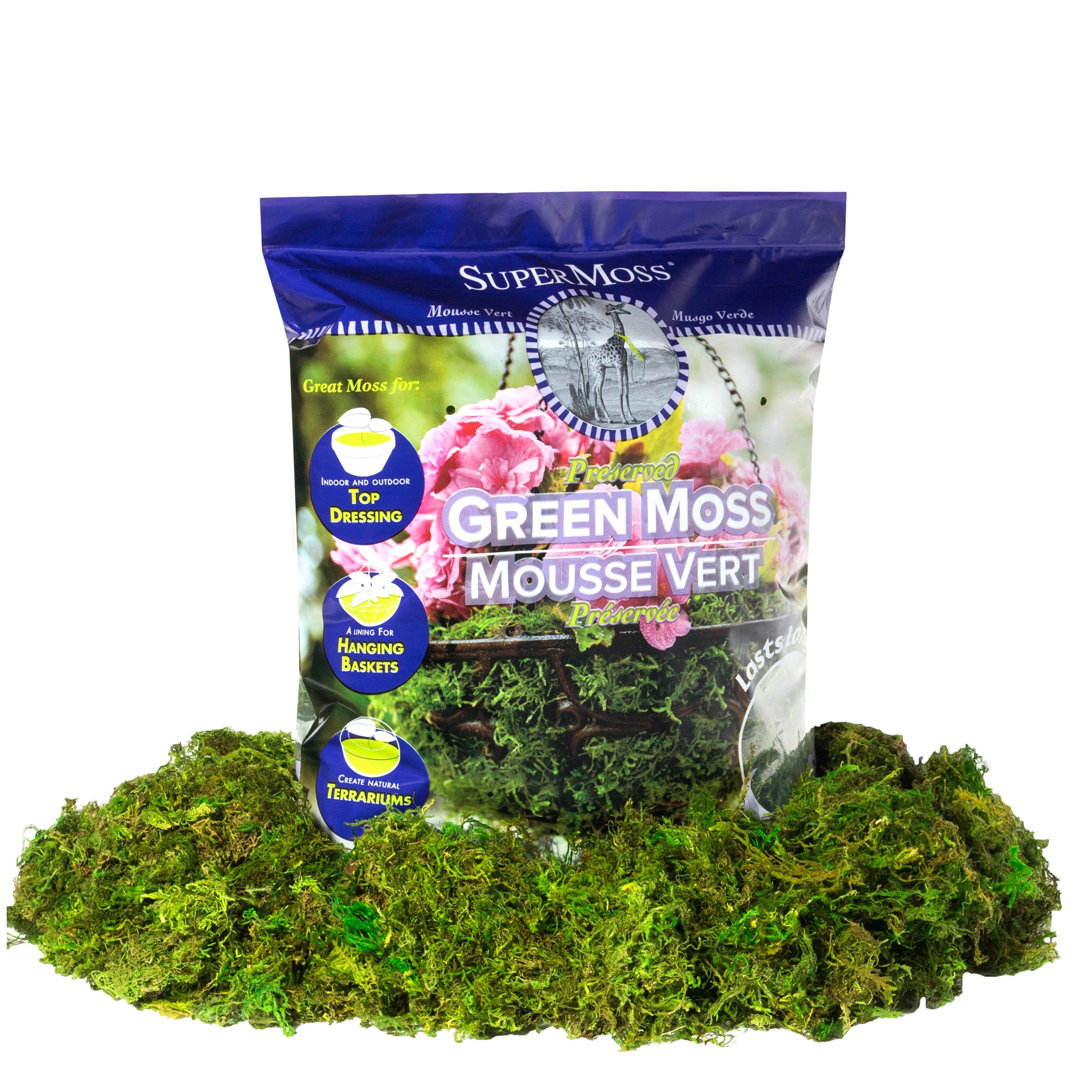 12 Pack: SuperMoss® Preserved Green Moss