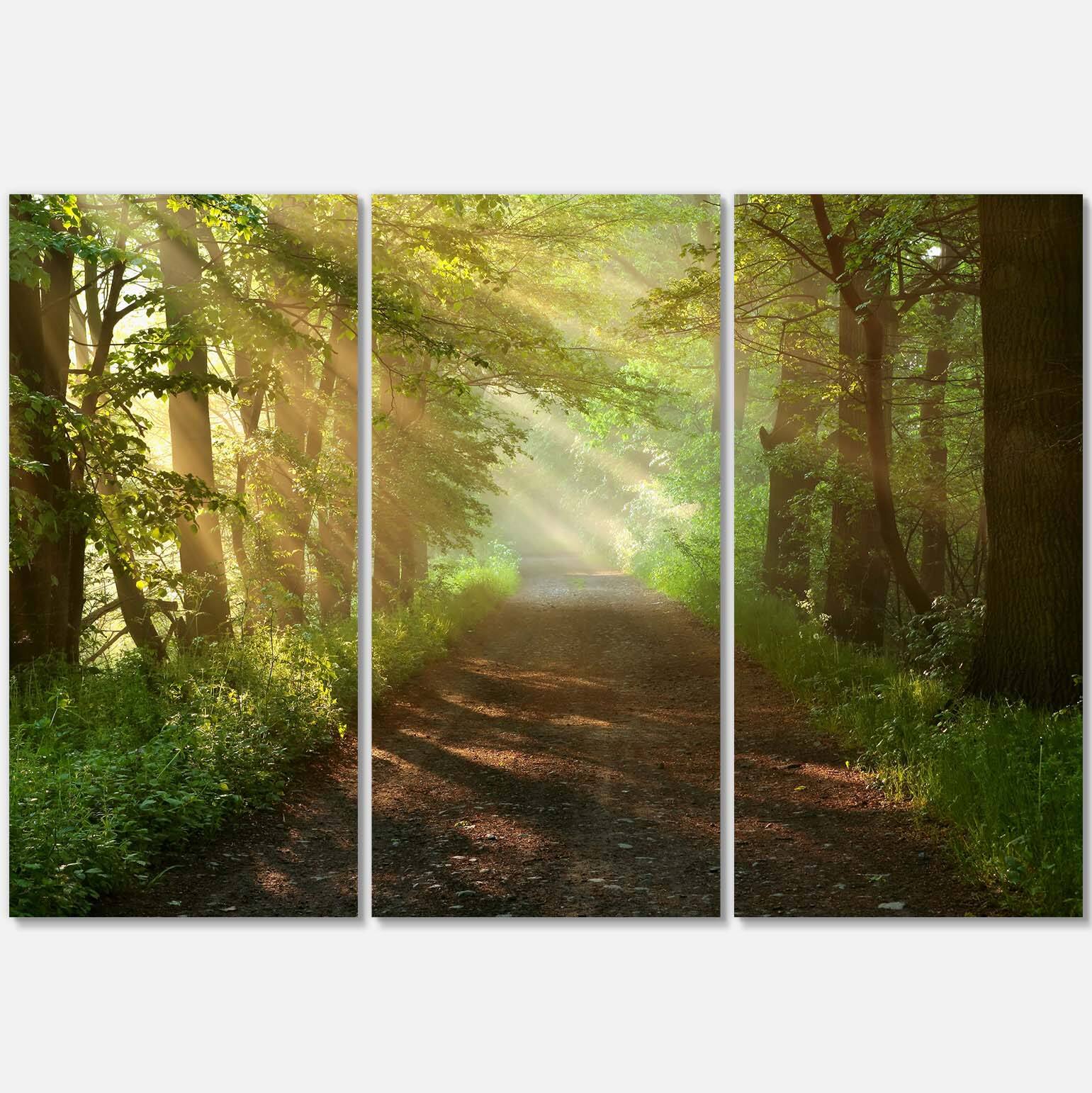Designart - Suns Peeks into Forest - Landscape Photography Canvas Print