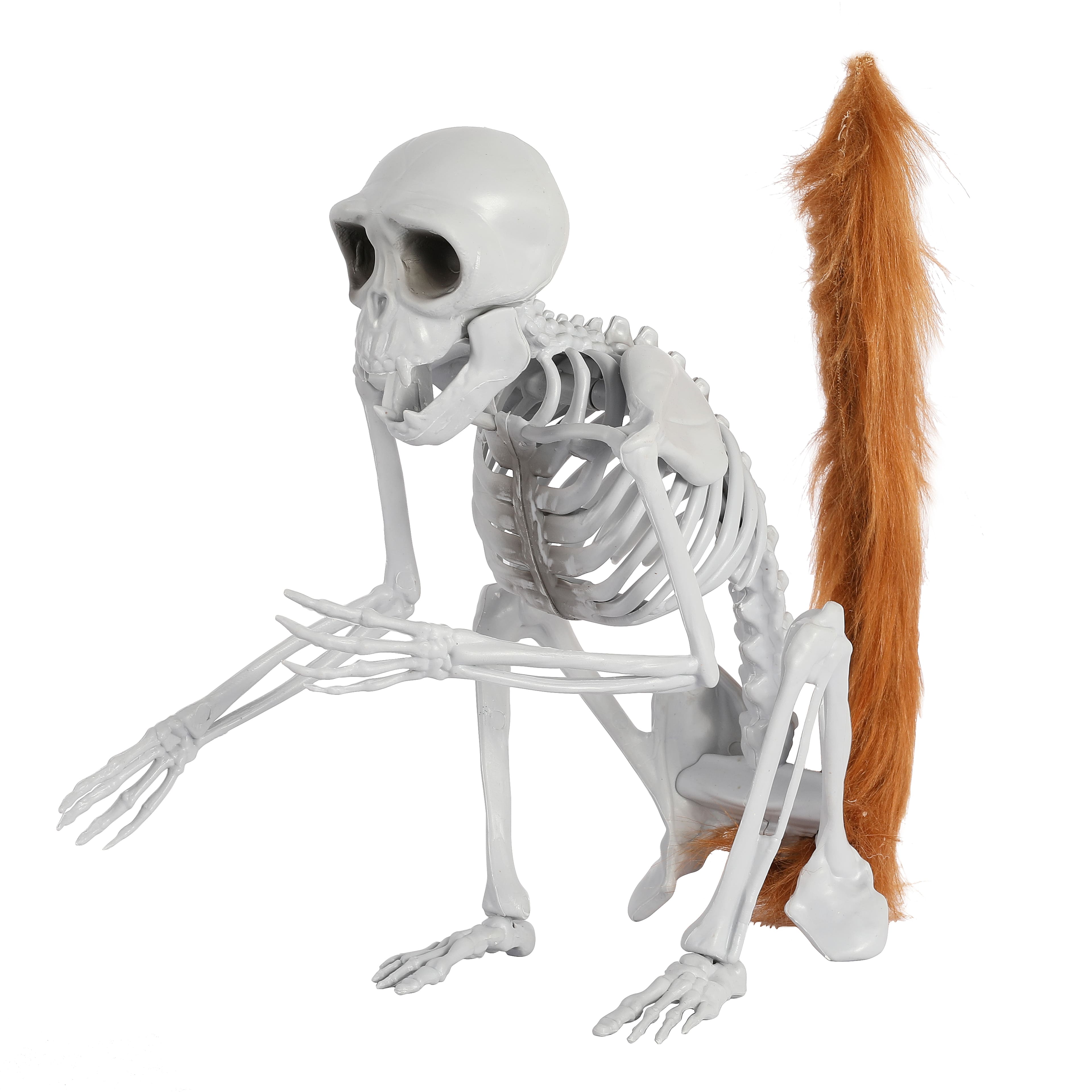 11&#x22; Skeleton Monkey by Ashland&#xAE;