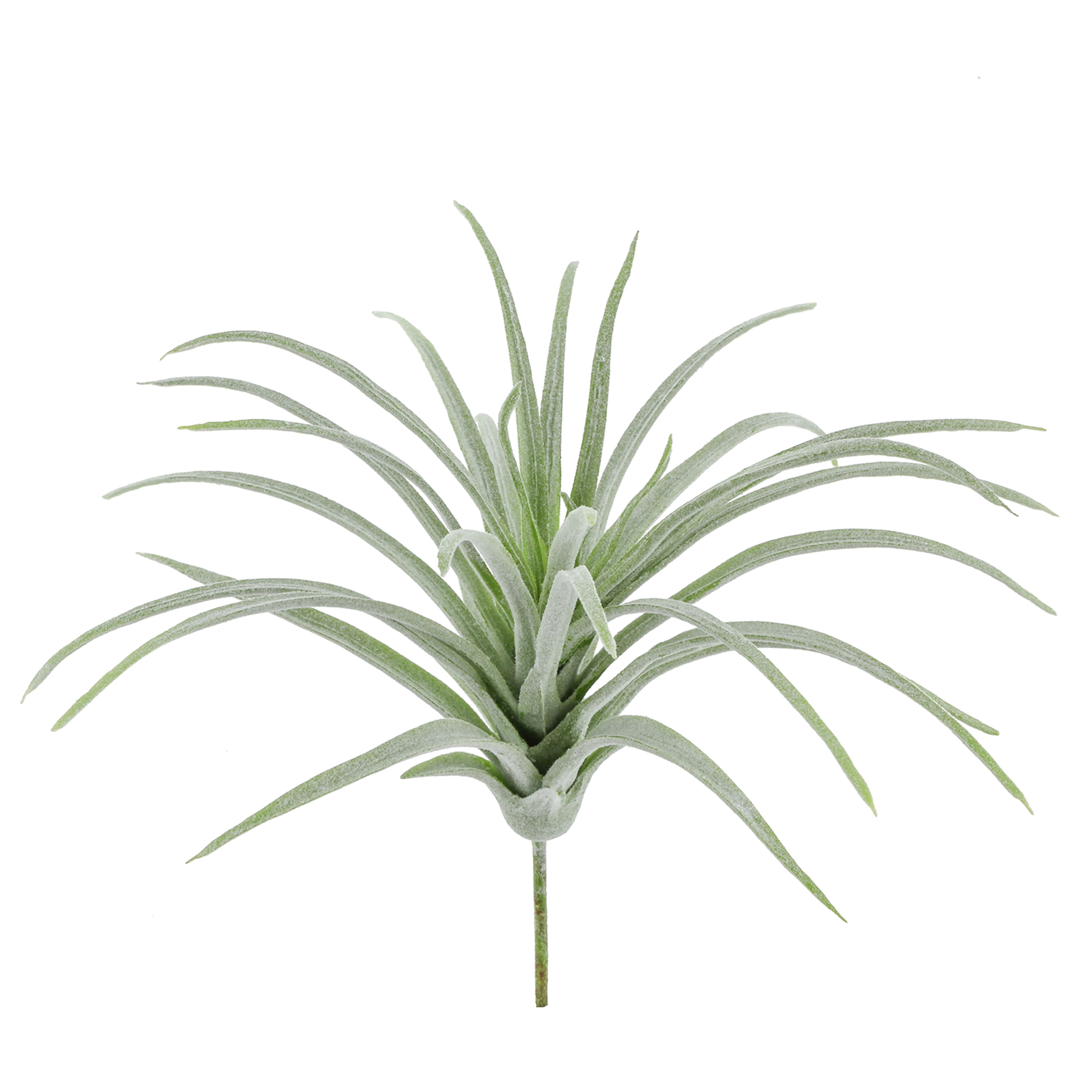 Tige d&#xE9;corative de tillandsia vert d&#x2019;Ashland, 15,2&#xA0;cm