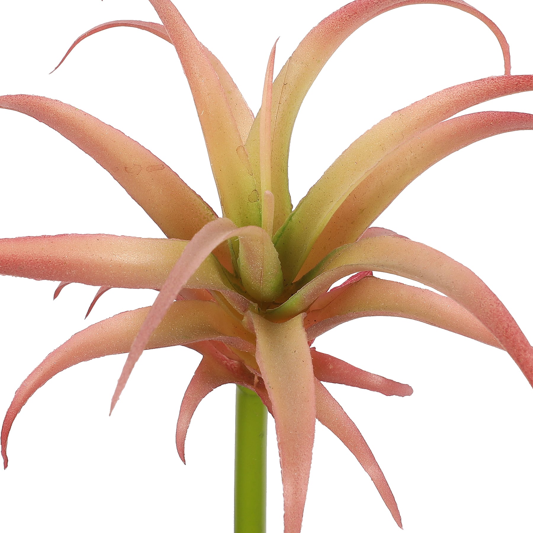 Assorted 7&#x22; Tillandsia Pick by Ashland&#xAE;