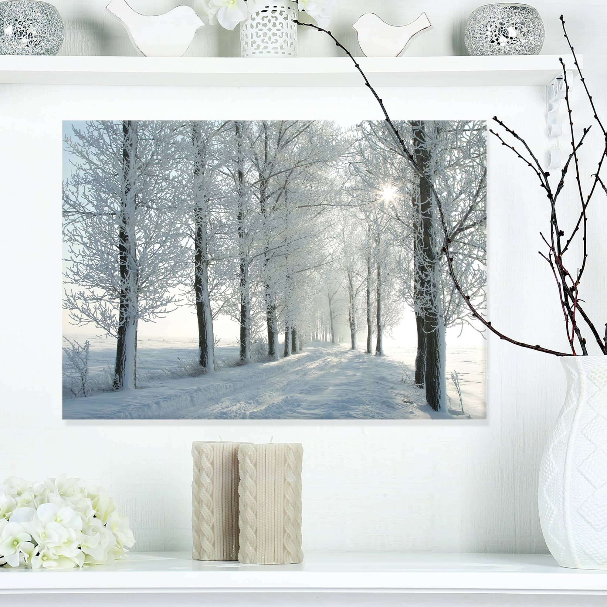 Designart - Winter Trees Backlit by Morning Sun - Large Forest Canvas Art Print