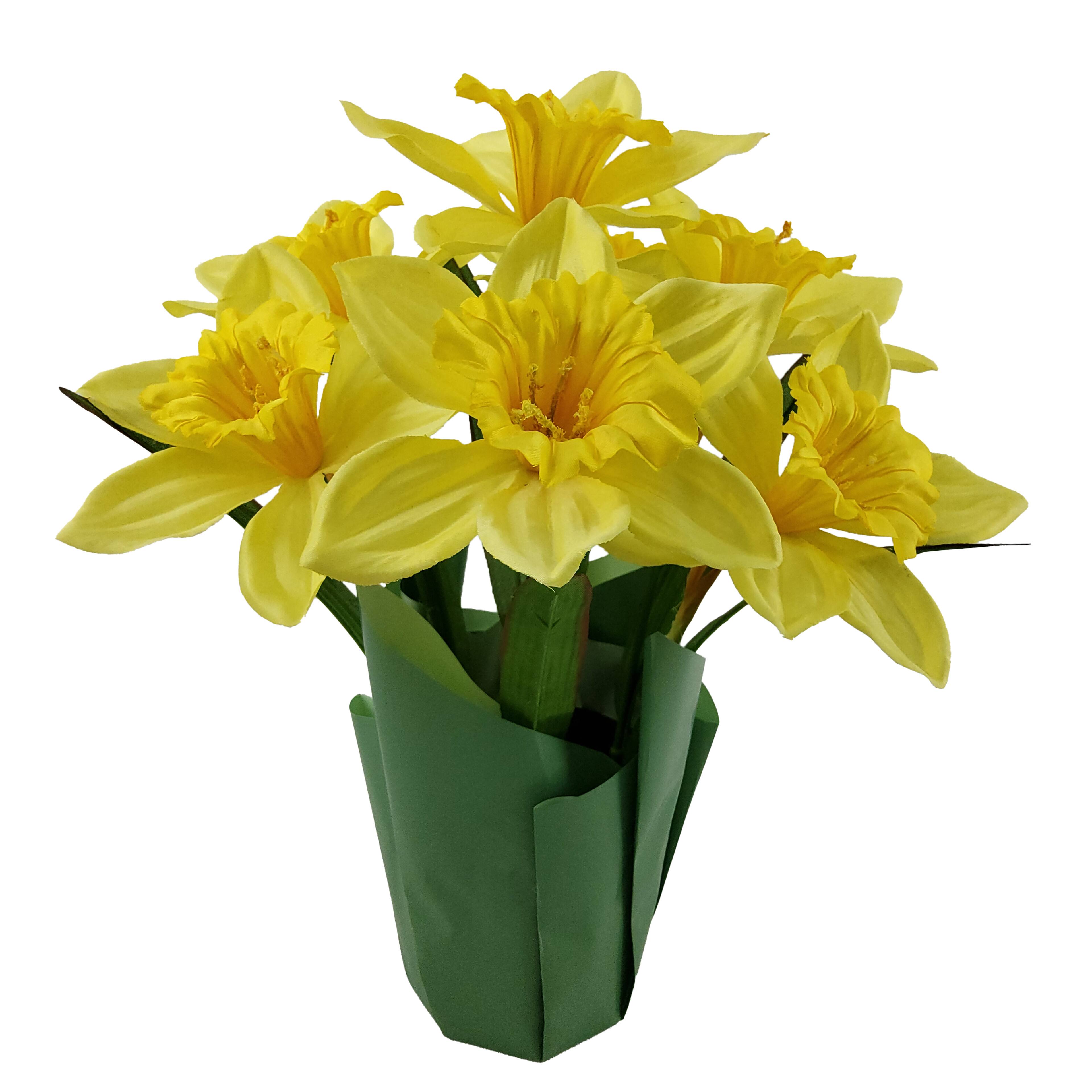 14" Potted Daffodil Plant by Ashland®