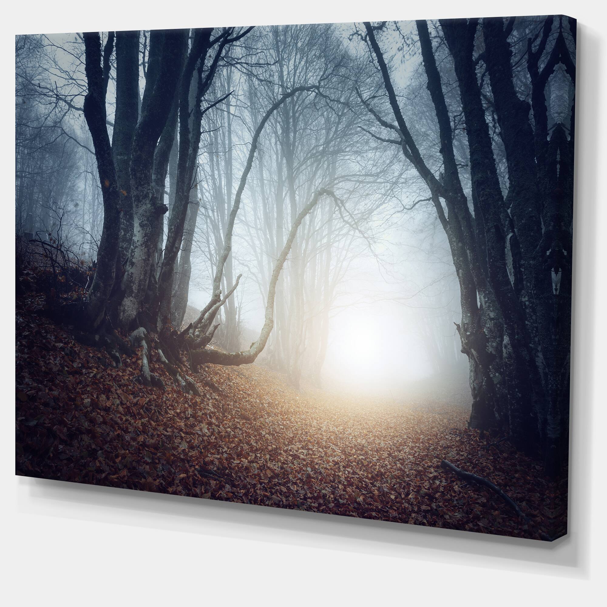 Designart - Magical Trees in Mysterious Forest - Modern Forest Canvas Wall Art